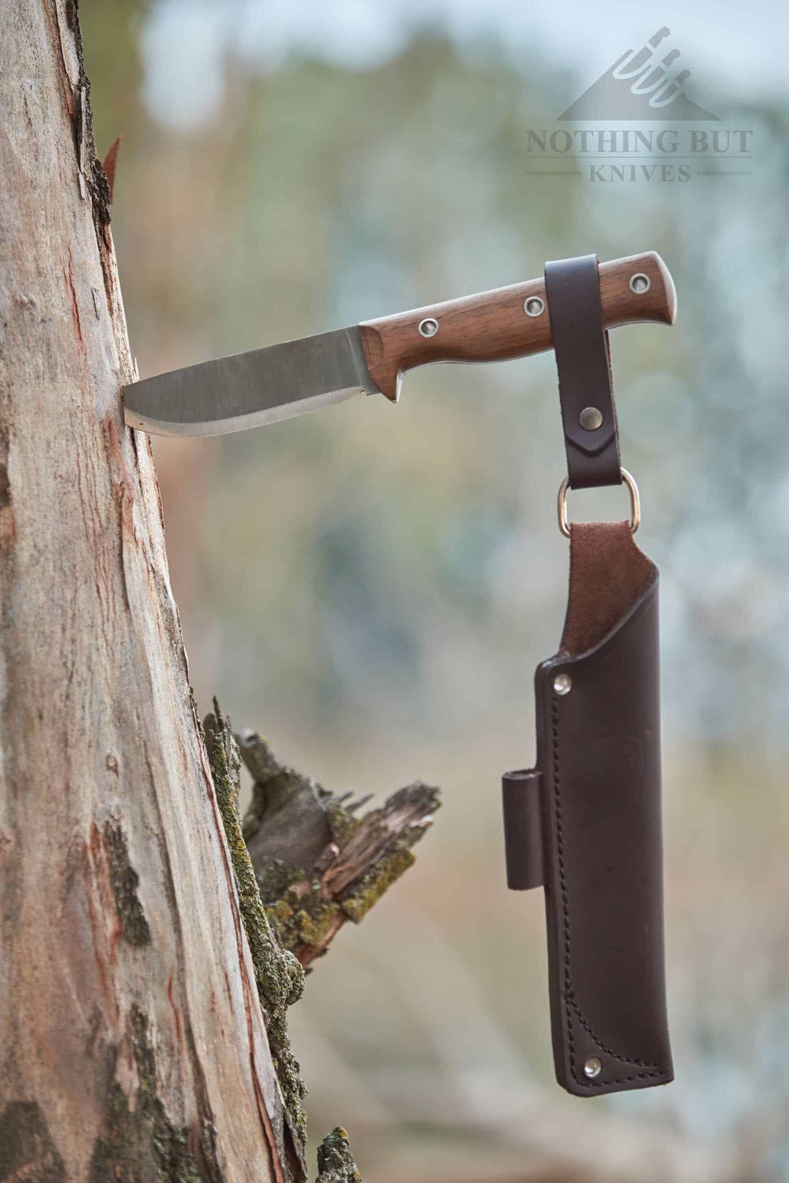 Condor Swamp Romper Review - Image 5 Condor Swamp Romper stuck in a tree at the edge of a forest with it's leather sheath hanging from the handle.