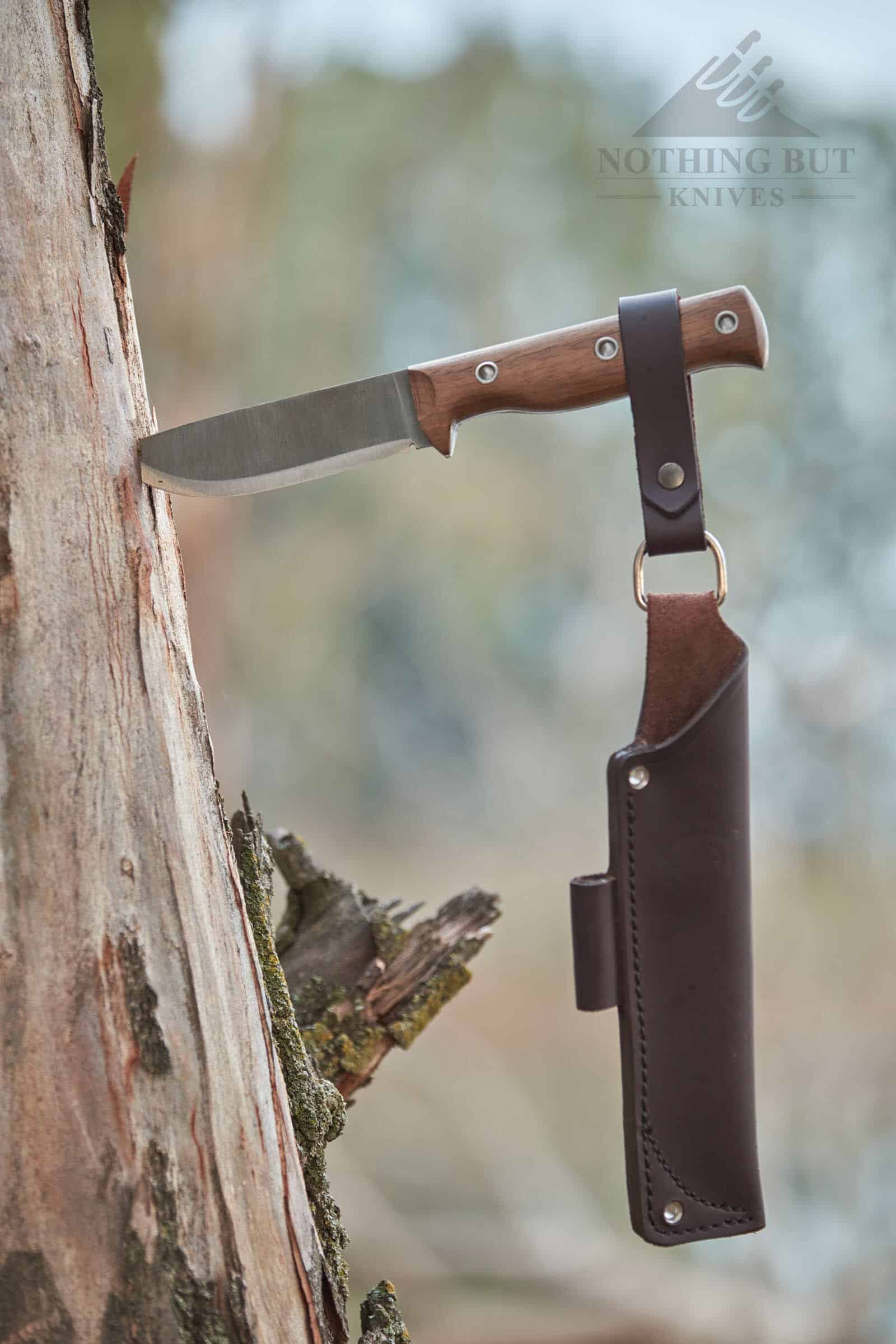 Condor Swamp Romper stuck in a tree at the edge of a forest with it's leather sheath hanging from the handle.