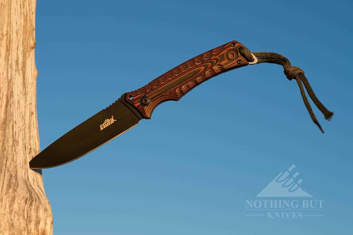 Cima G20 Review - Image 10 Cima Camping Knife stuck in a tree for easy reach.