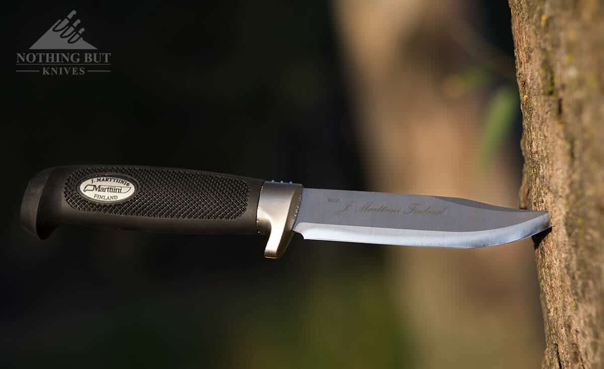 The Marttiini Condor Bowie Knife stuck in a tree on the edge of the forest