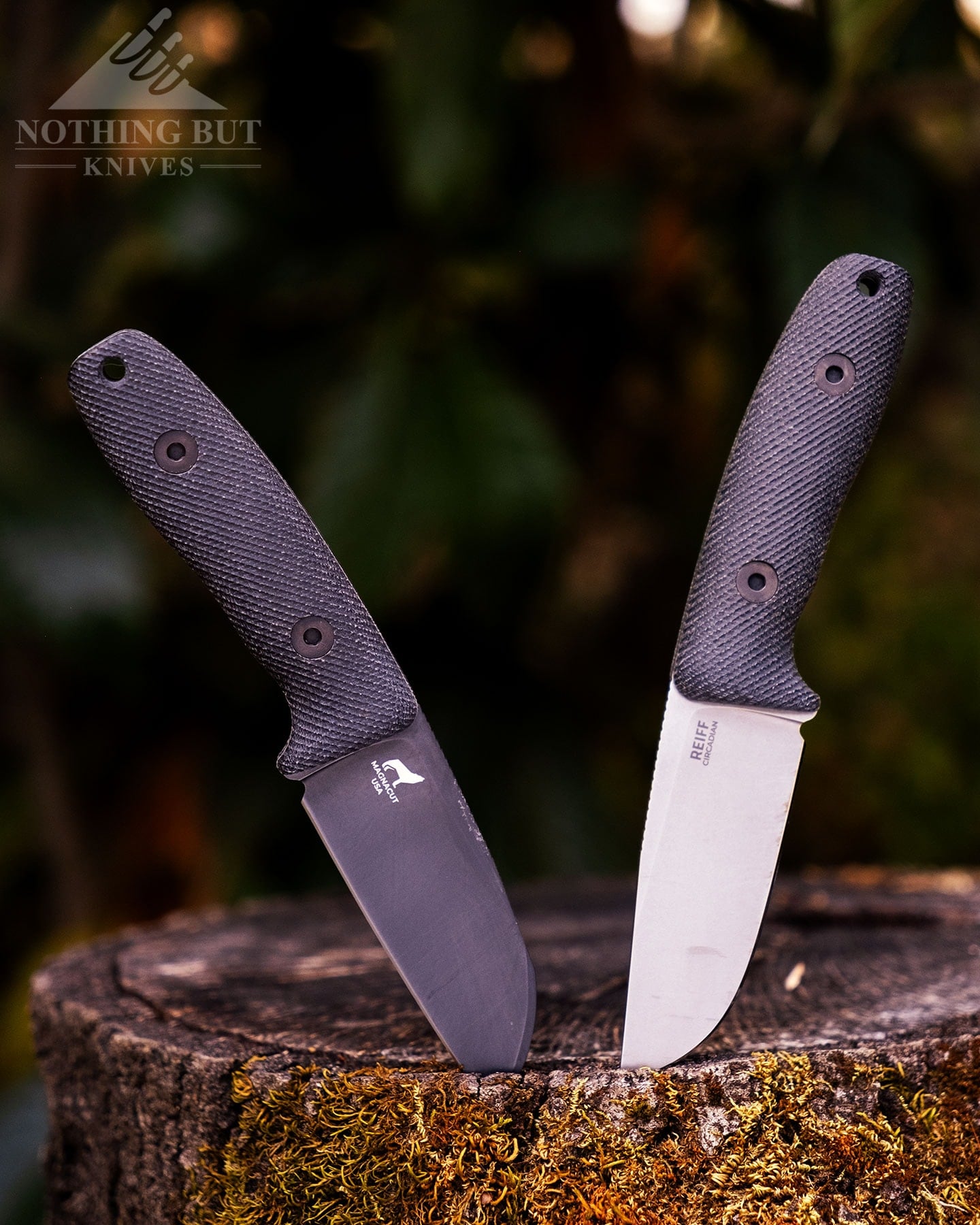 Best Horizontal Carry Knives - Continuous Update - Image 20 The Reiff Circadian Sheepsfoot and Clip Point knives shown here sticking out of an Oak tree stump in a forest.