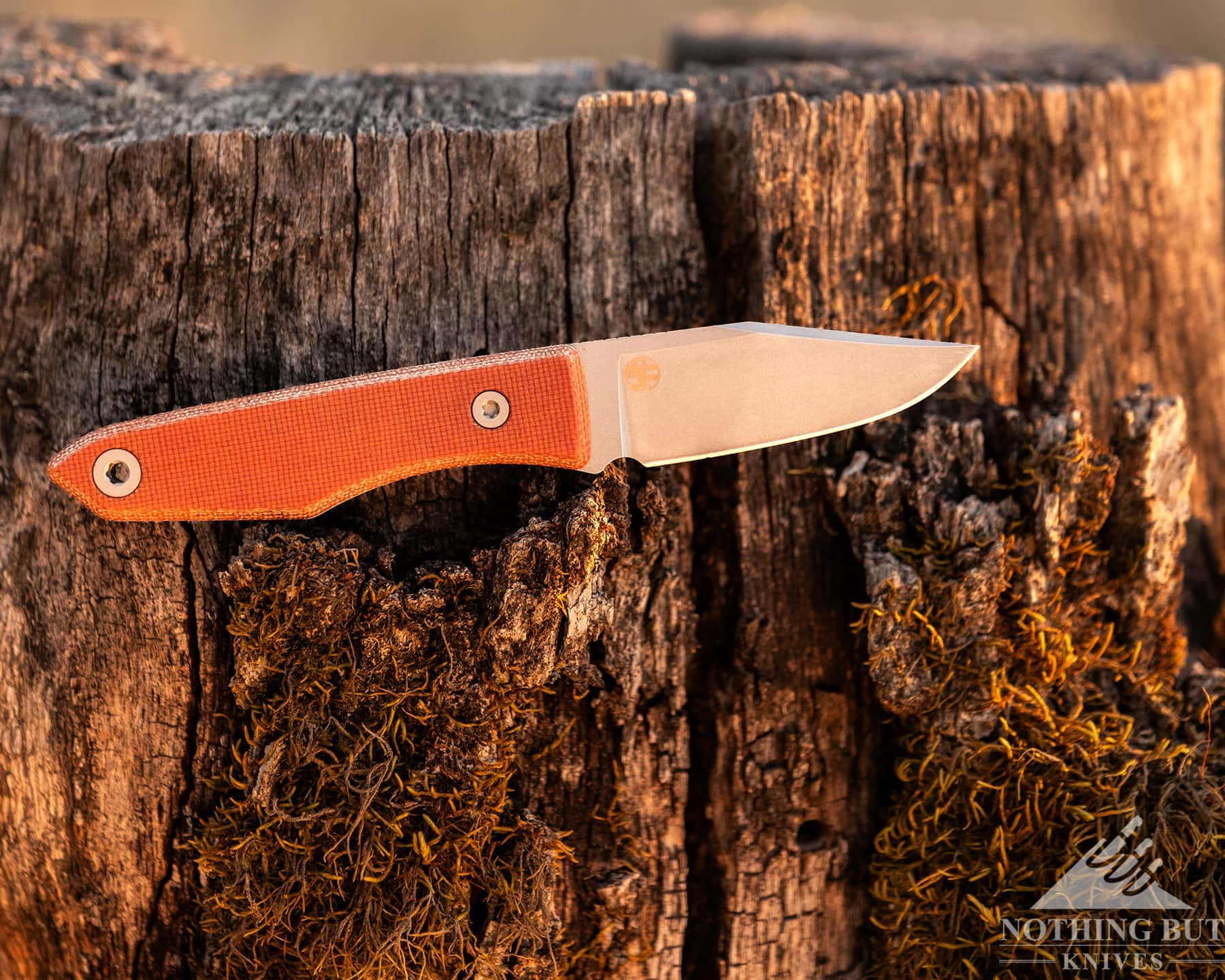 The Ultimate Guide To American Made Knives &Amp; Knife Companies - Image 11 A close-up of the US made model of the BIg dea Design Lookout fixed blade balanced on the bark of a tree stump in a field.