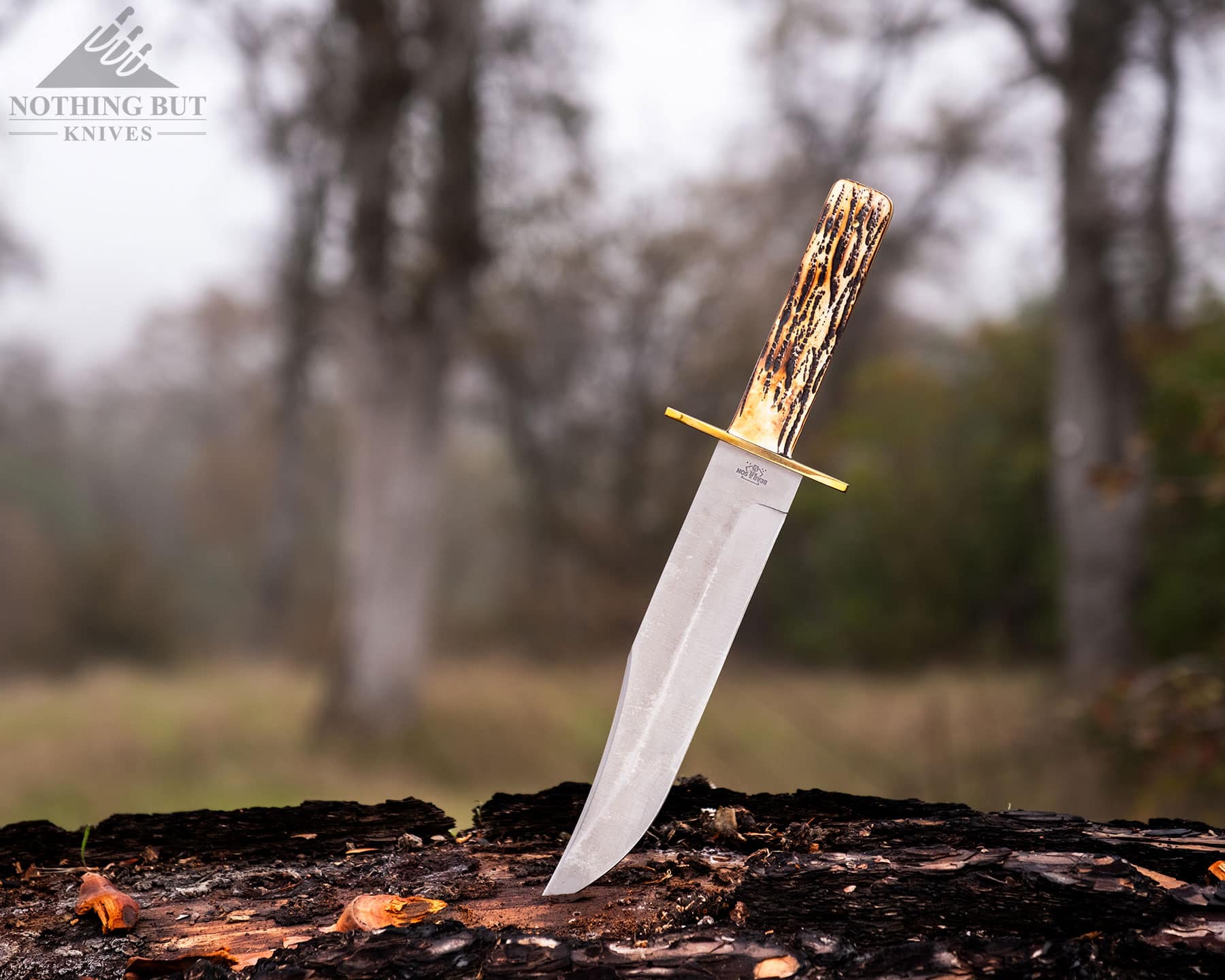 The 9-inch American Bowie from Bear & Son with its blade tip sticking out of a fallen tree in a foggy forest. 