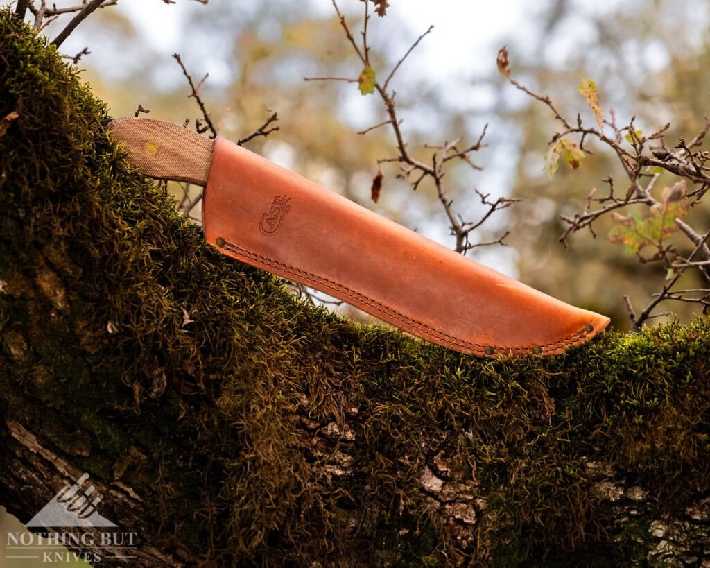 A close-up of the Case Laramy Miller Sasquatch Bowie inside of its leather sheath balanced on a moss-covered oak tree branch on the edge of a forest. 