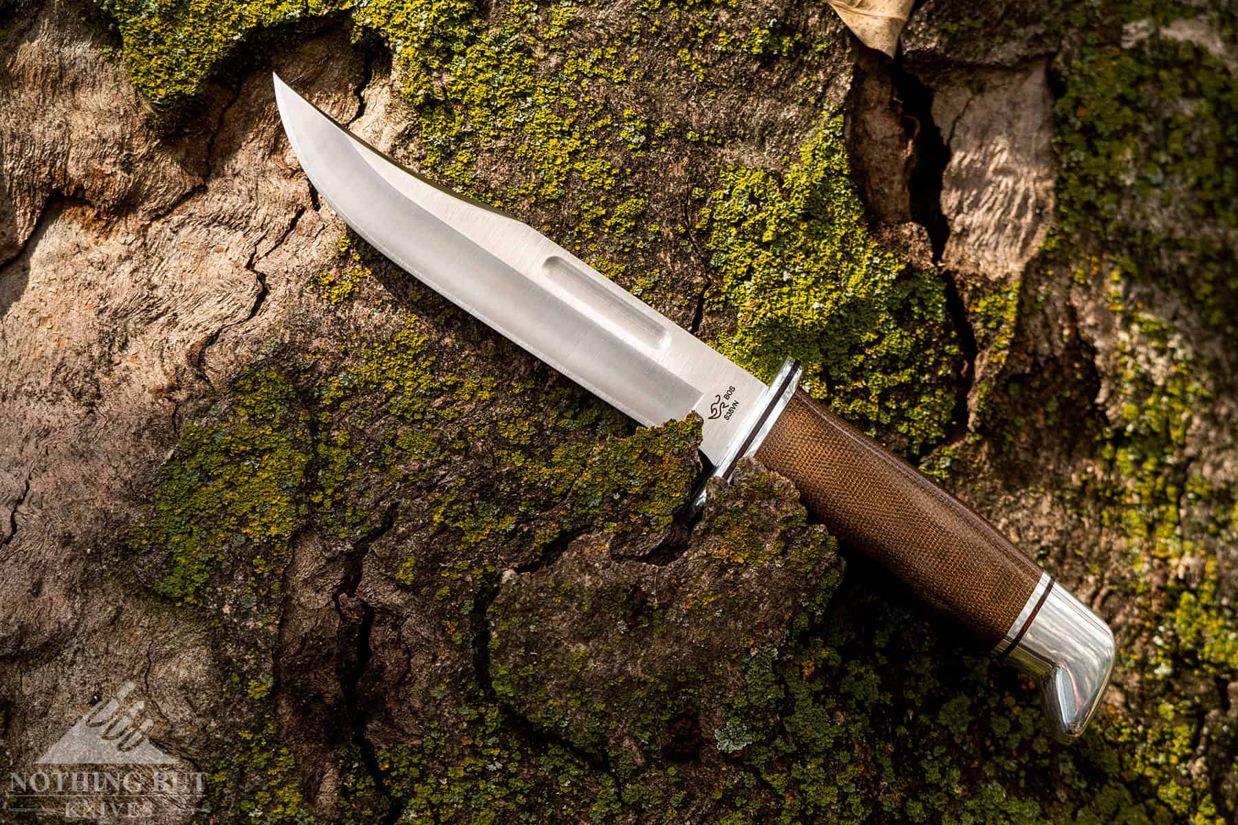 Best Bowie knife and large knives – The Prepared