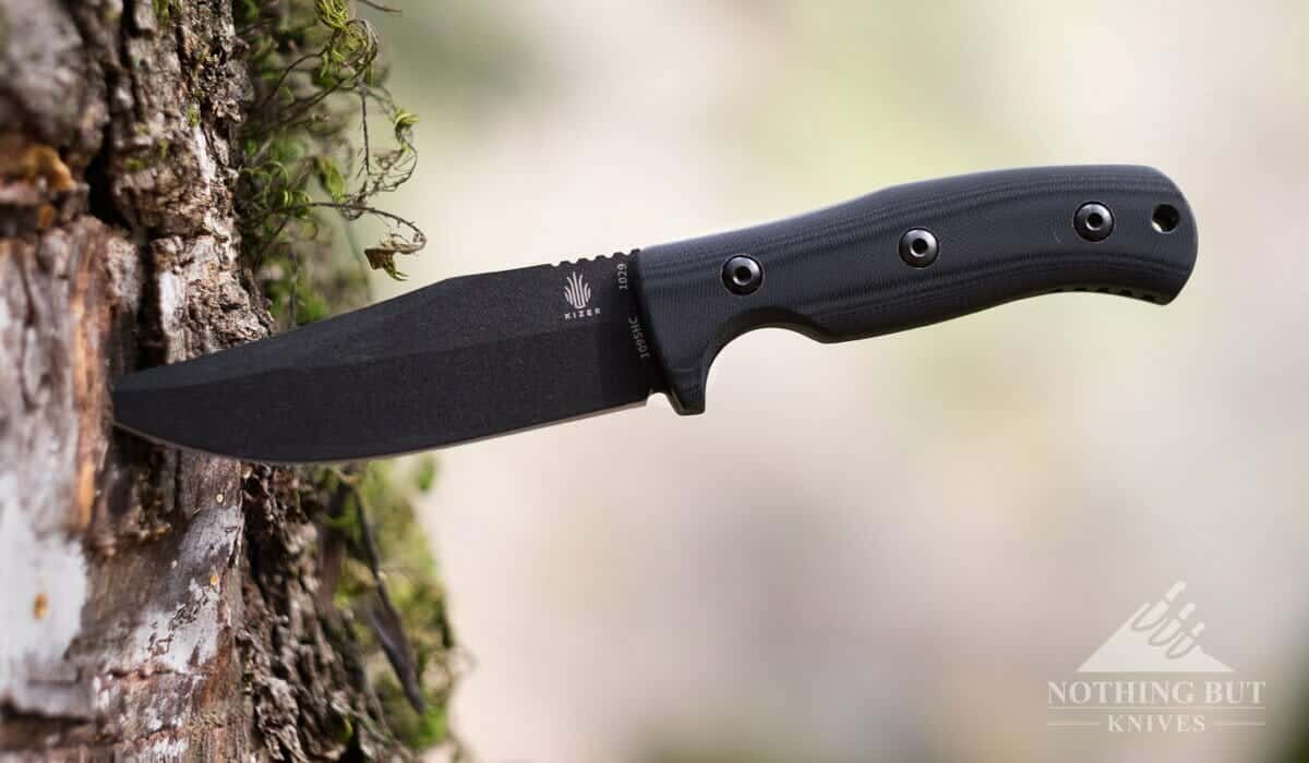 The Kizer Little RIver Bowie sticking out of a tree trunk.