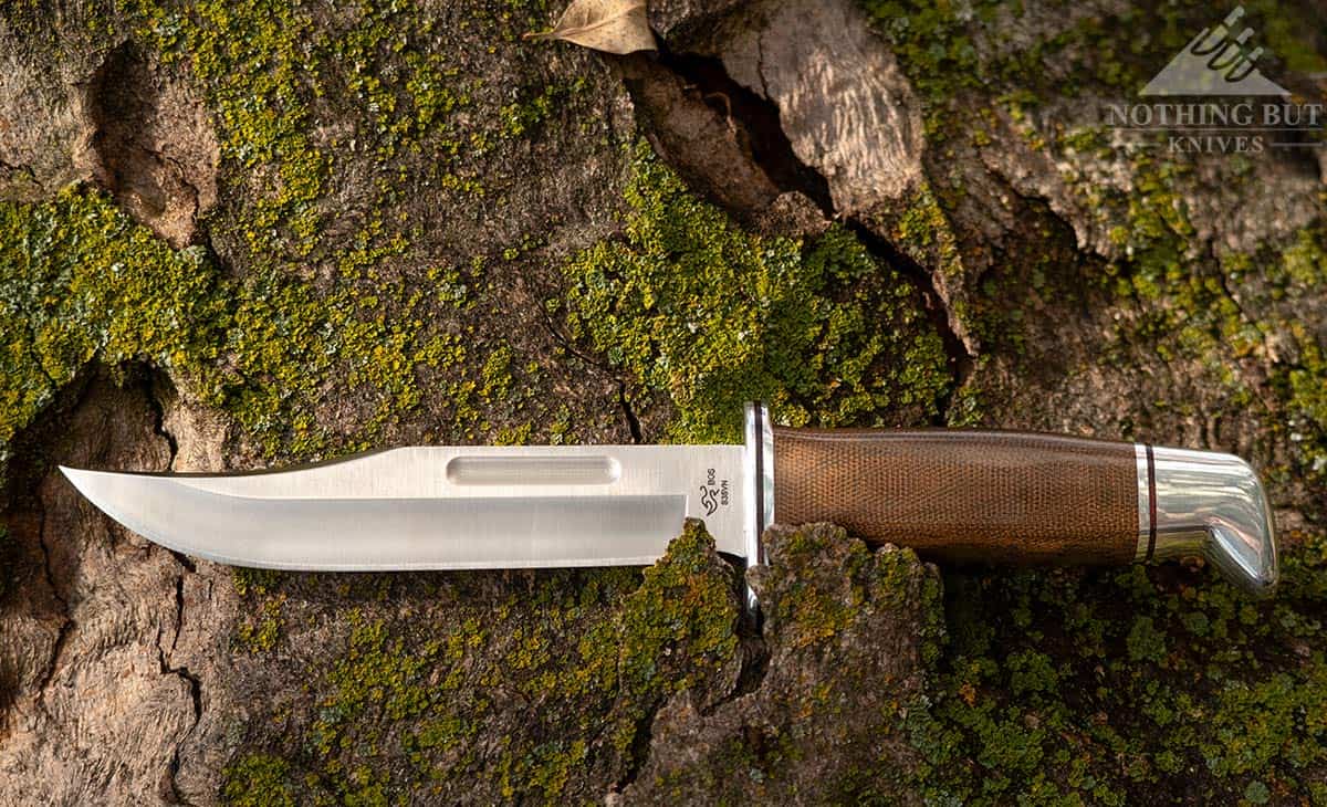 The Buck 119 Special Pro with Micarta handle scales and an S35V blade sitting in the bark of a tree in the forest. 