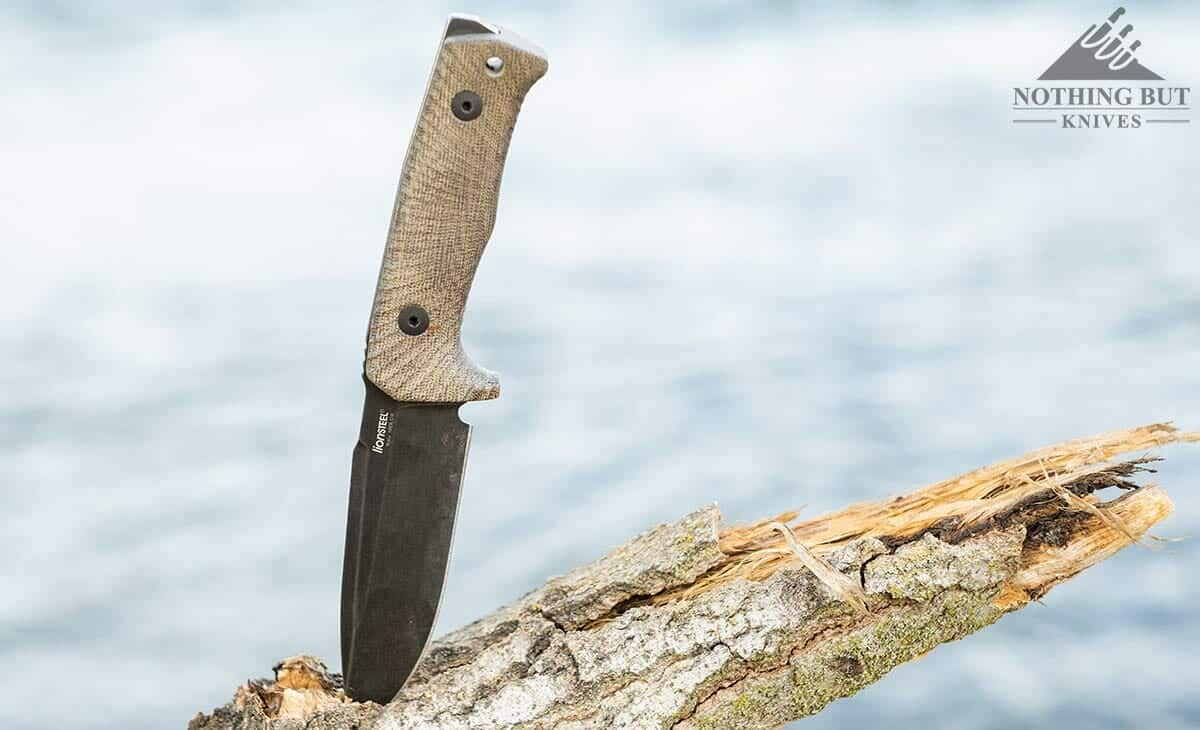 The Lionsteel T5 sticking out of a tree limb next to a river. 