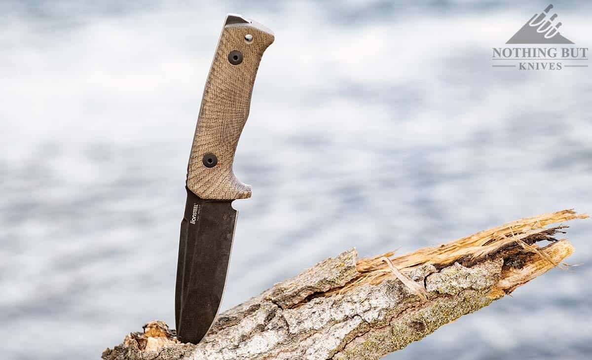 The Lionsteel T5 sticking out of a tree limb next to a river.