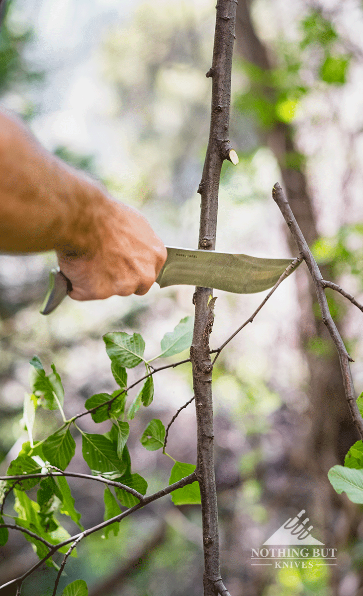 Browning Black Label Battle Bowie Knife Review - Image 8 The Browning Battle Bowie make short work of branch clearing.