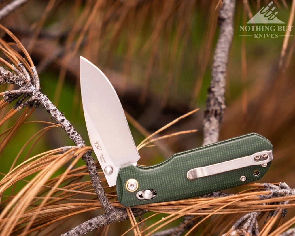 The CJRB Maximal with the blade in the half  open position balanced on a Pine tree branch. 