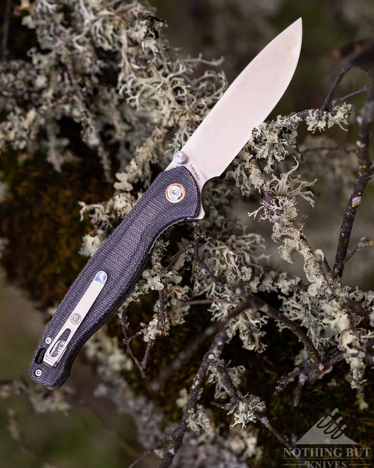 The Vosteed Labrador is one of our all time favorite pocket knives under $100. 