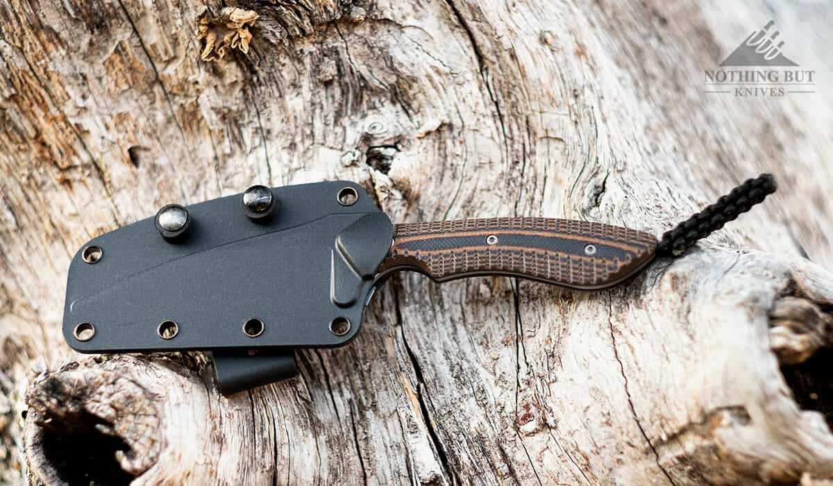 Crkt S.p.e.w. Review - Image 1 The CRKT Spew in it's sheath outdoors.