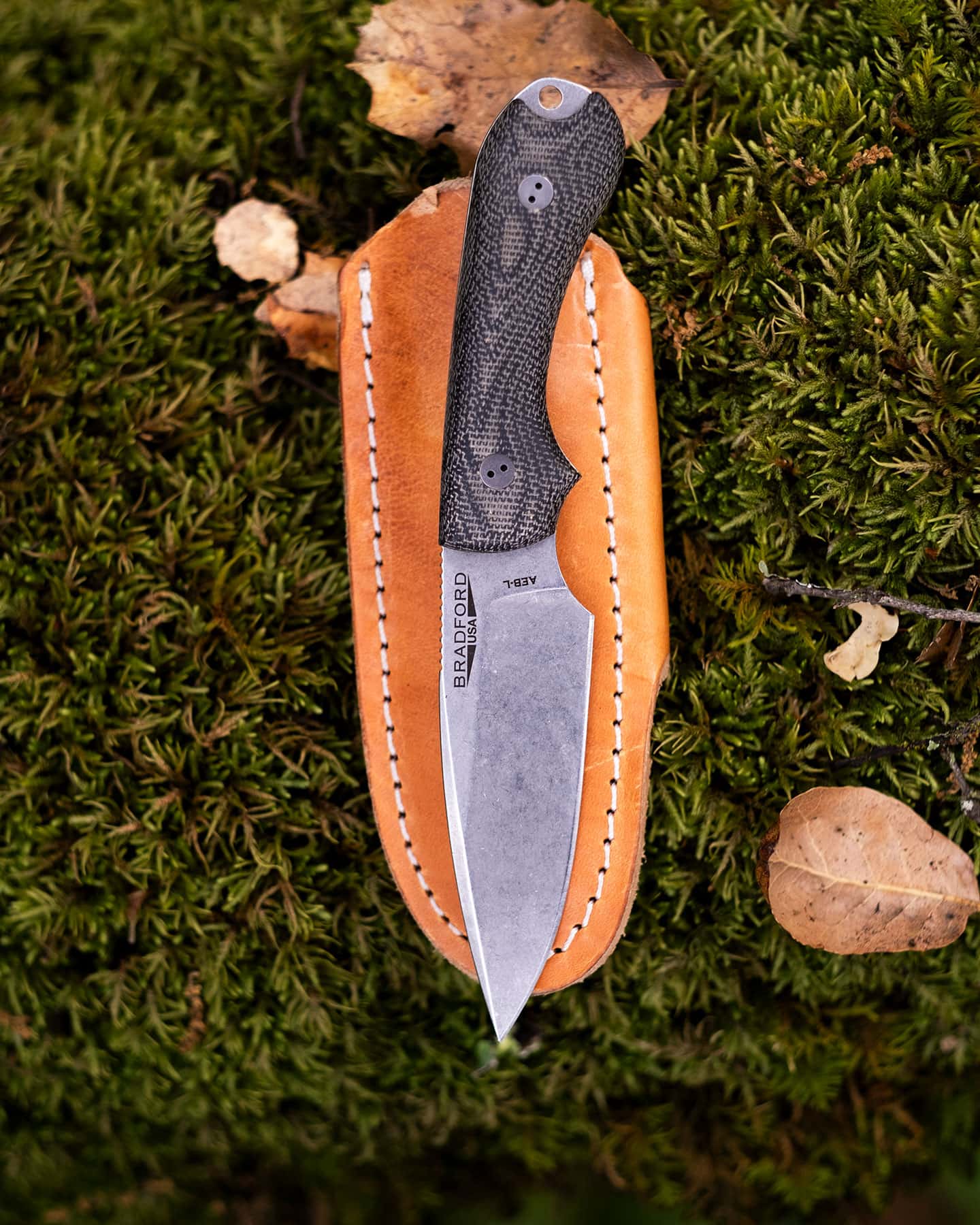 The Bradford Guardian 3 fixed blade knife sitting on a mossy tree branch with its leather sheath.