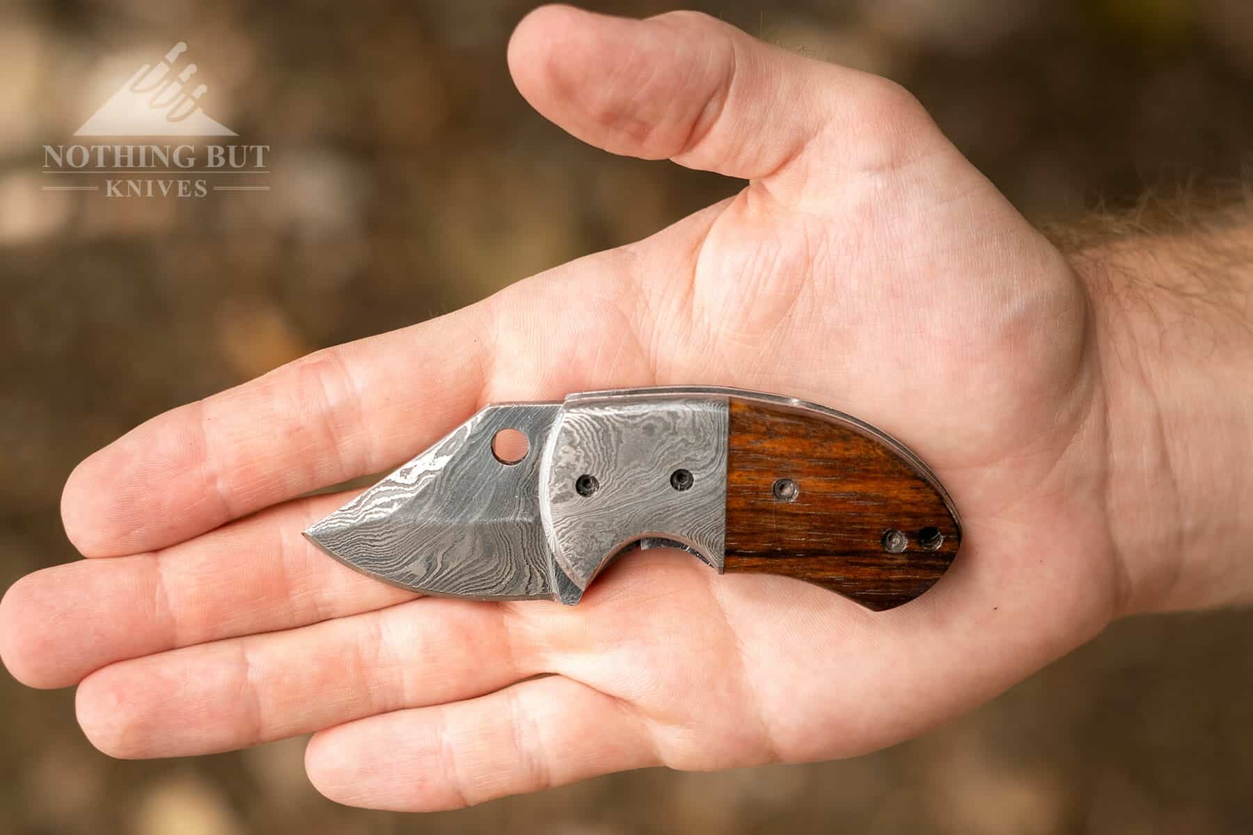 Lightoller Folding Knife In The Hand