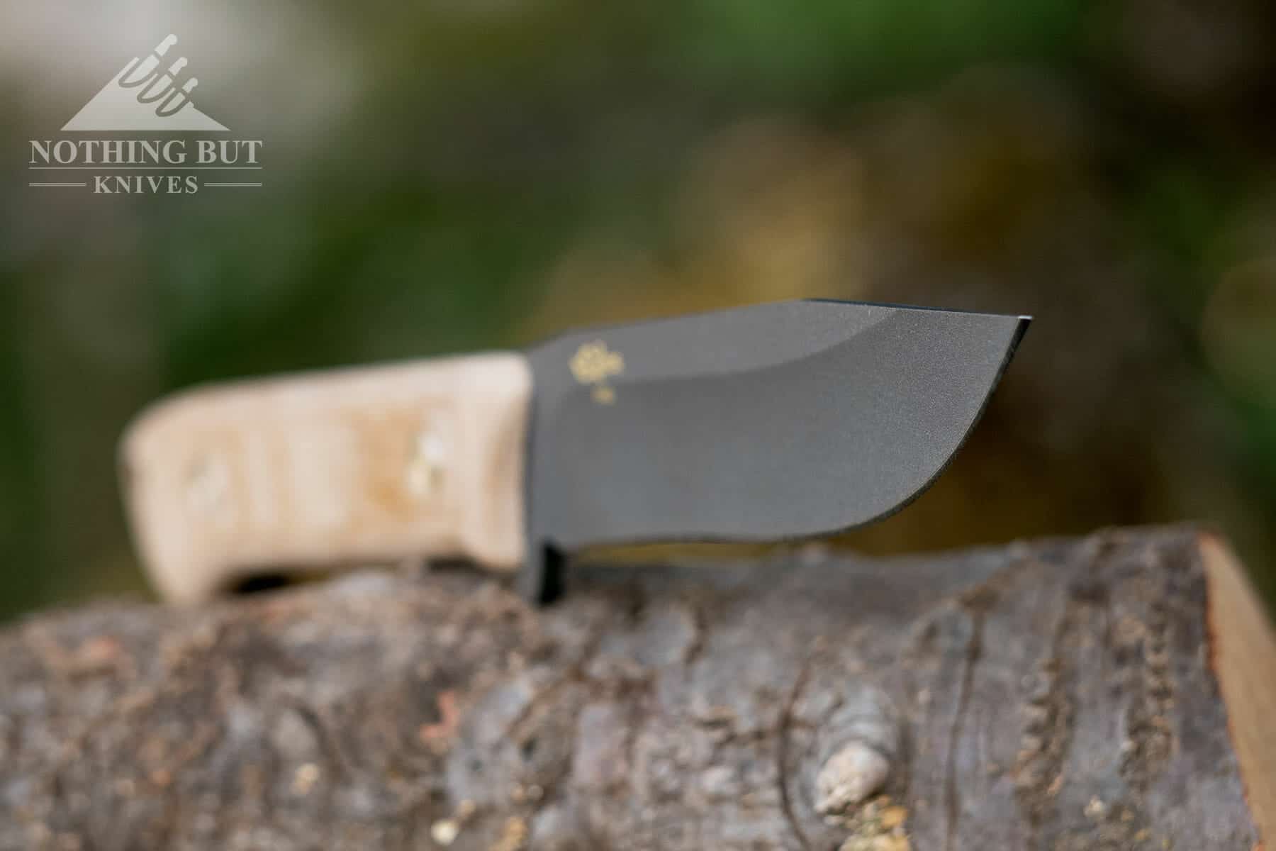 Buck 104 Compadre Knife Review - Image 12 If the Compadre has one major problem, it’s the thin tip.