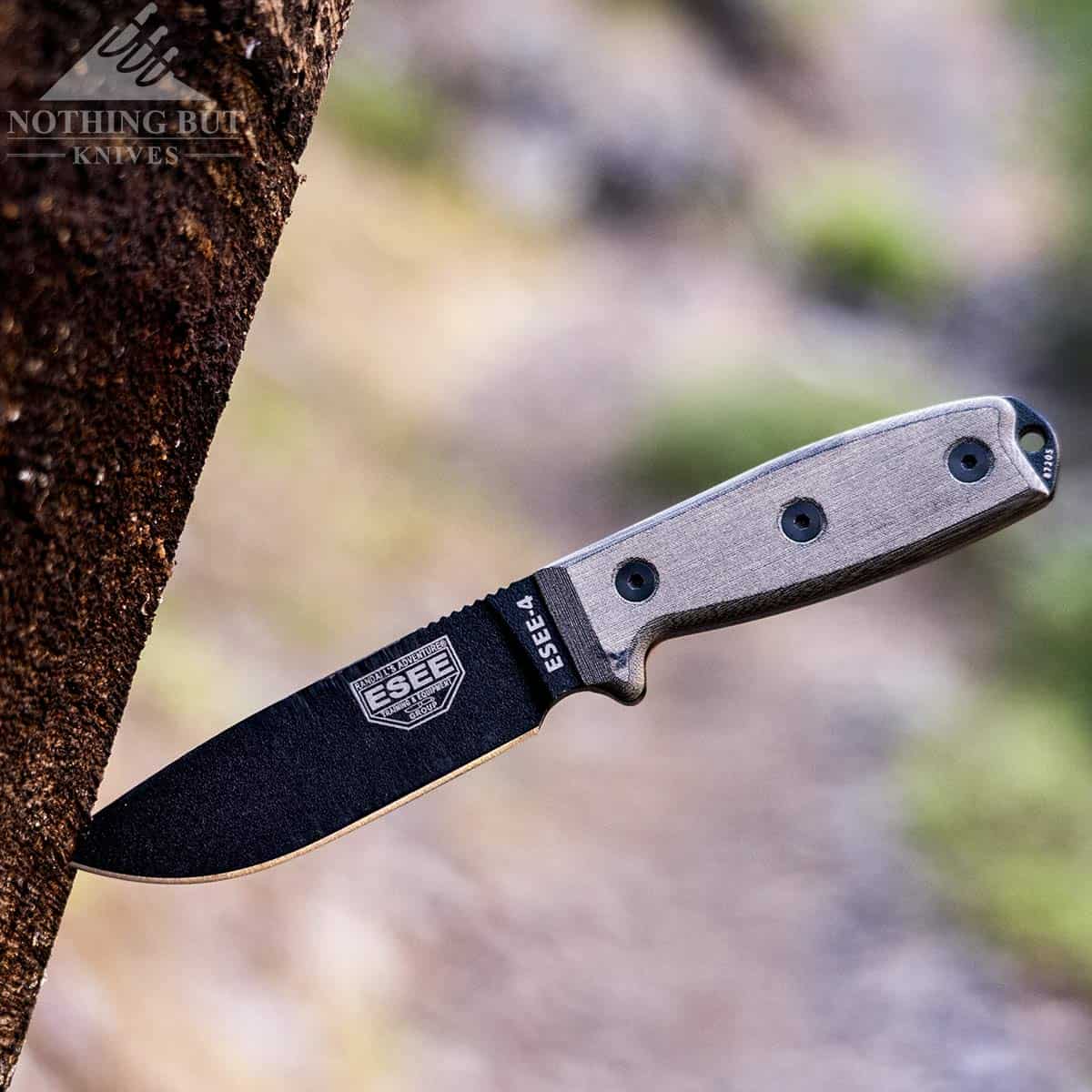 The Esee 4 is a great camping or backpacking knife. Shown here sticking out of a tree on a mountain trail. 
