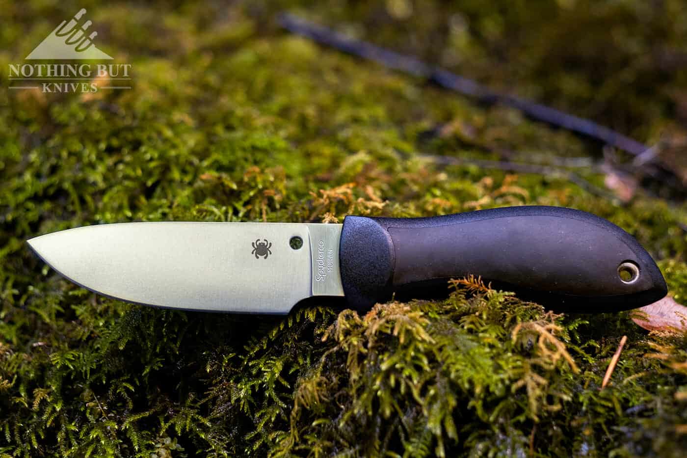 Spyderco Bill Moran Fixed Blade Review - Image 1: Spyderco Bill Moran Bowie Review