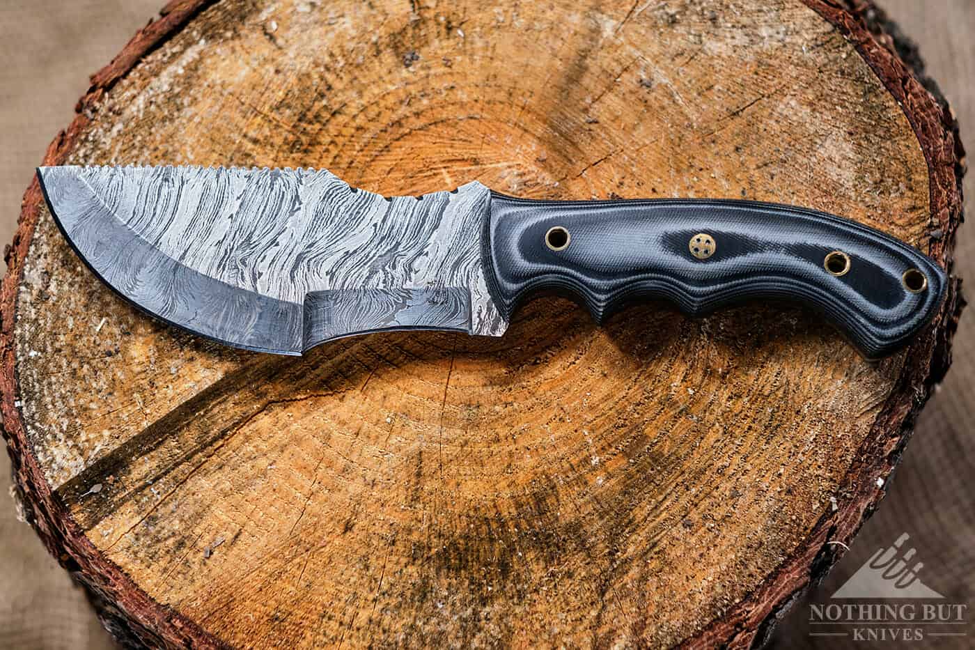 Forseti Steel Ironside Damascus Tracker Review - Image 3 The Ironside Tracker survival knife sitting on the stump of an oak tree.