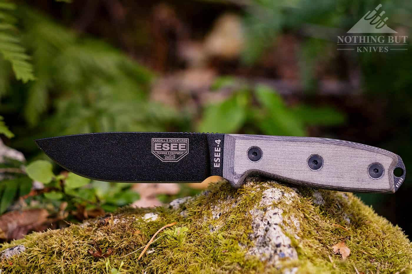 Esee 4 with micarta handle on mossy rock.