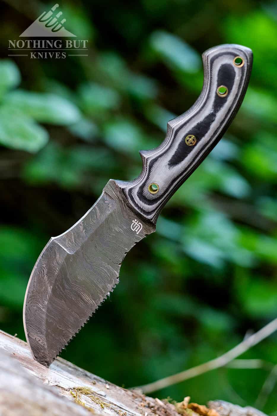Forseti Steel Ironside Damascus Tracker Review - Image 1 The Ironside Tracker survival knife sticking out of a dead log in the forest.