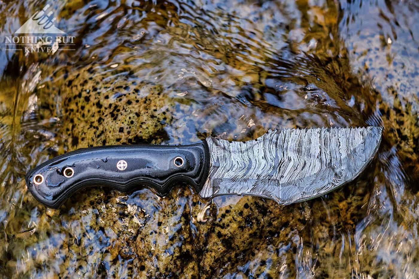 https://www.nothingbutknives.com/wp-content/uploads/2020/09/Forseti-Steel-Ironside-Tracker-in-a-Mountain-Creek.jpg