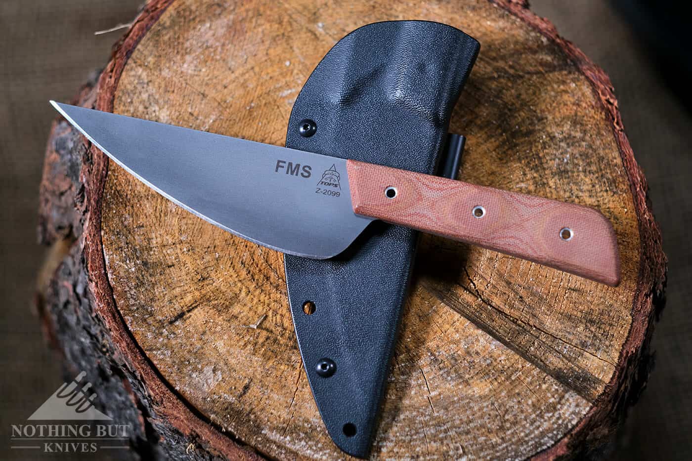 TOPS Knives Frog Market Special Review - Image 1: TOPs Frog Market Special Knife Review