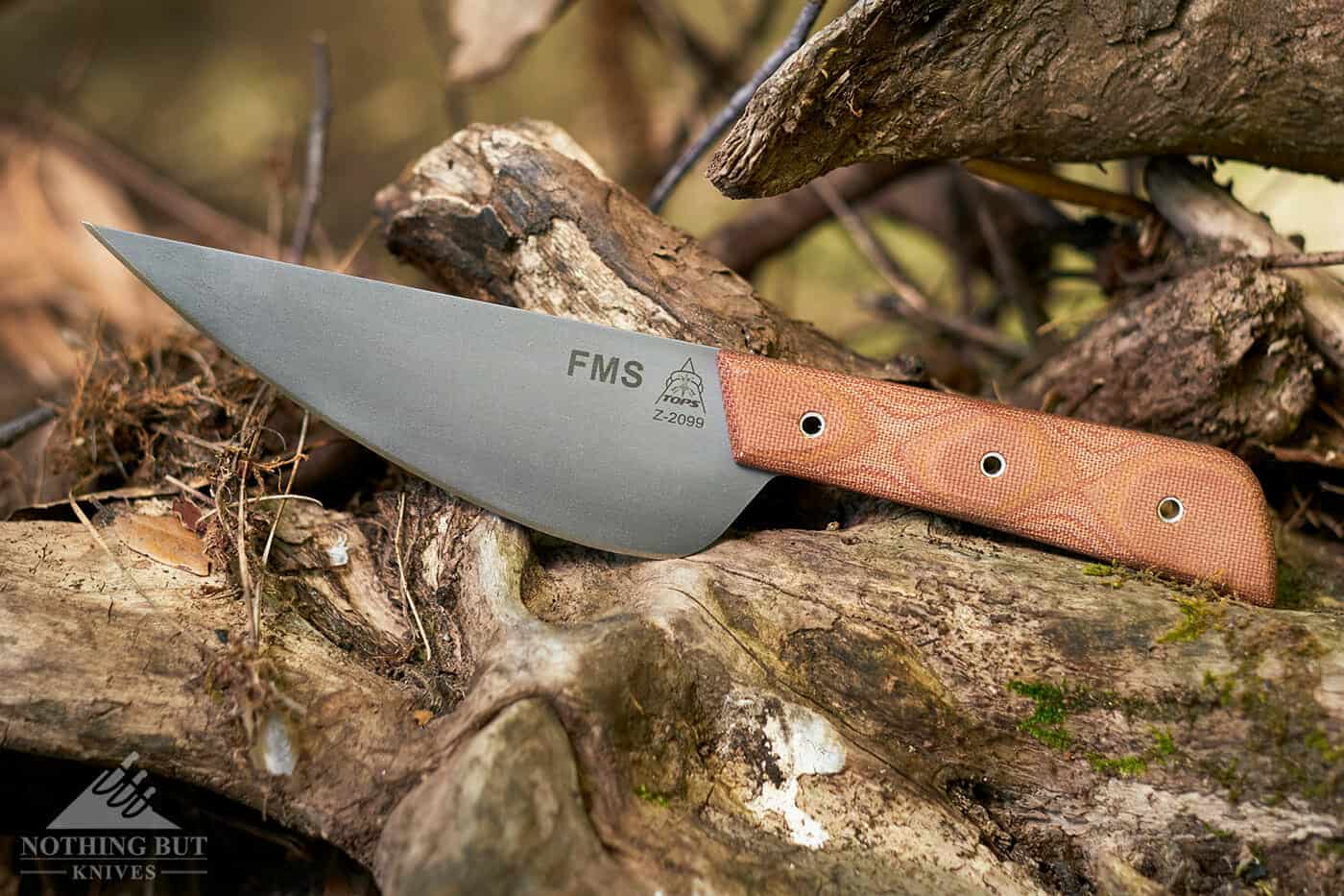 Tops Knives Frog Market Special Review - Image 1 The Frog Market Special butcher knife on a branch in the wilderness ready for some camping food prep.