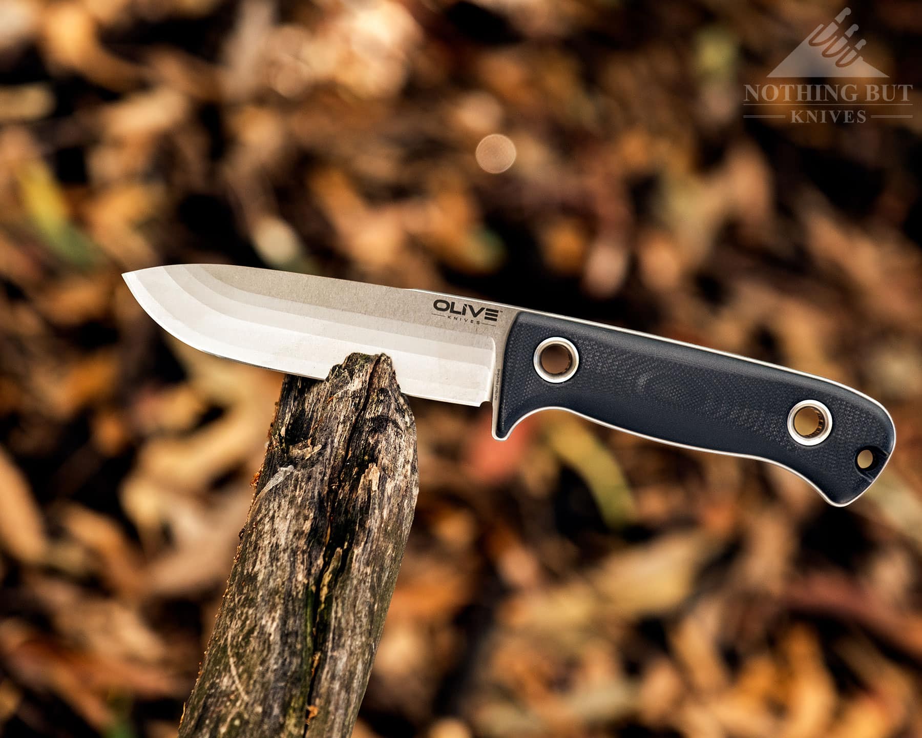 A profile view of the Olive Arbor bushcraft knife that shows its distinctive Fibonacci grind.