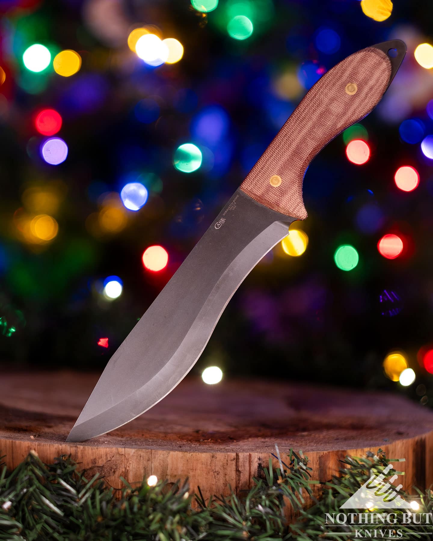 A profile view of the Case Laramie Miller Sasquatch Bowie in front of blurry holiday lights.