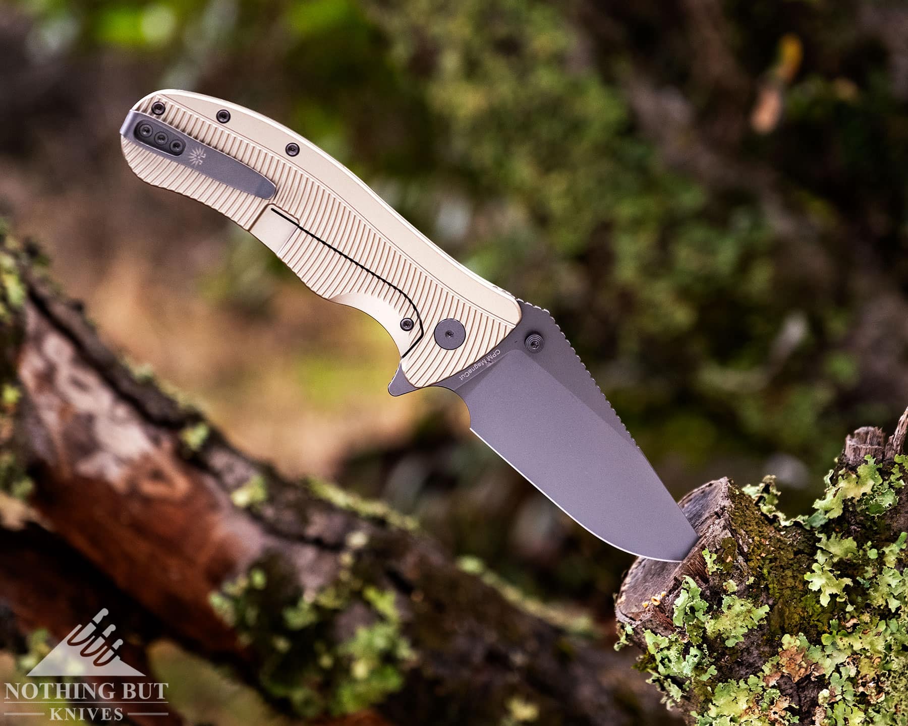 The Off-Grid Rhino Elite EDC pocketknife shown here with its blade sticking out of a moss-covered tree branch in a forest.