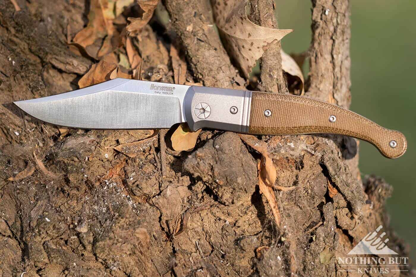 The LionSteel Gitano sitting on a tree with it's Niolox steel blade open.