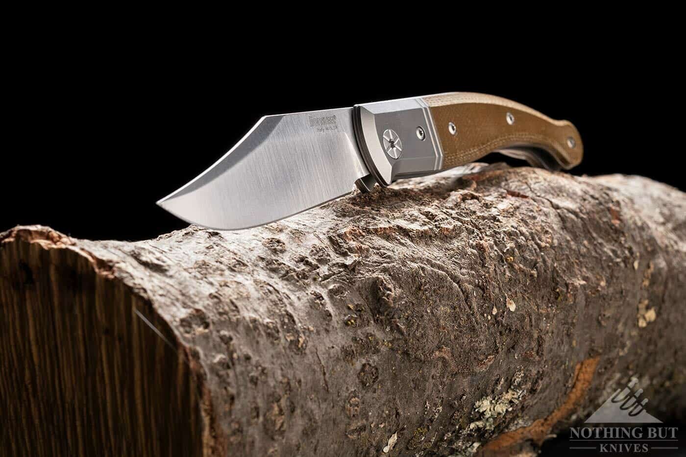 The LionSteel Gitano folding knife on a tree branch with the blade facing forward. 