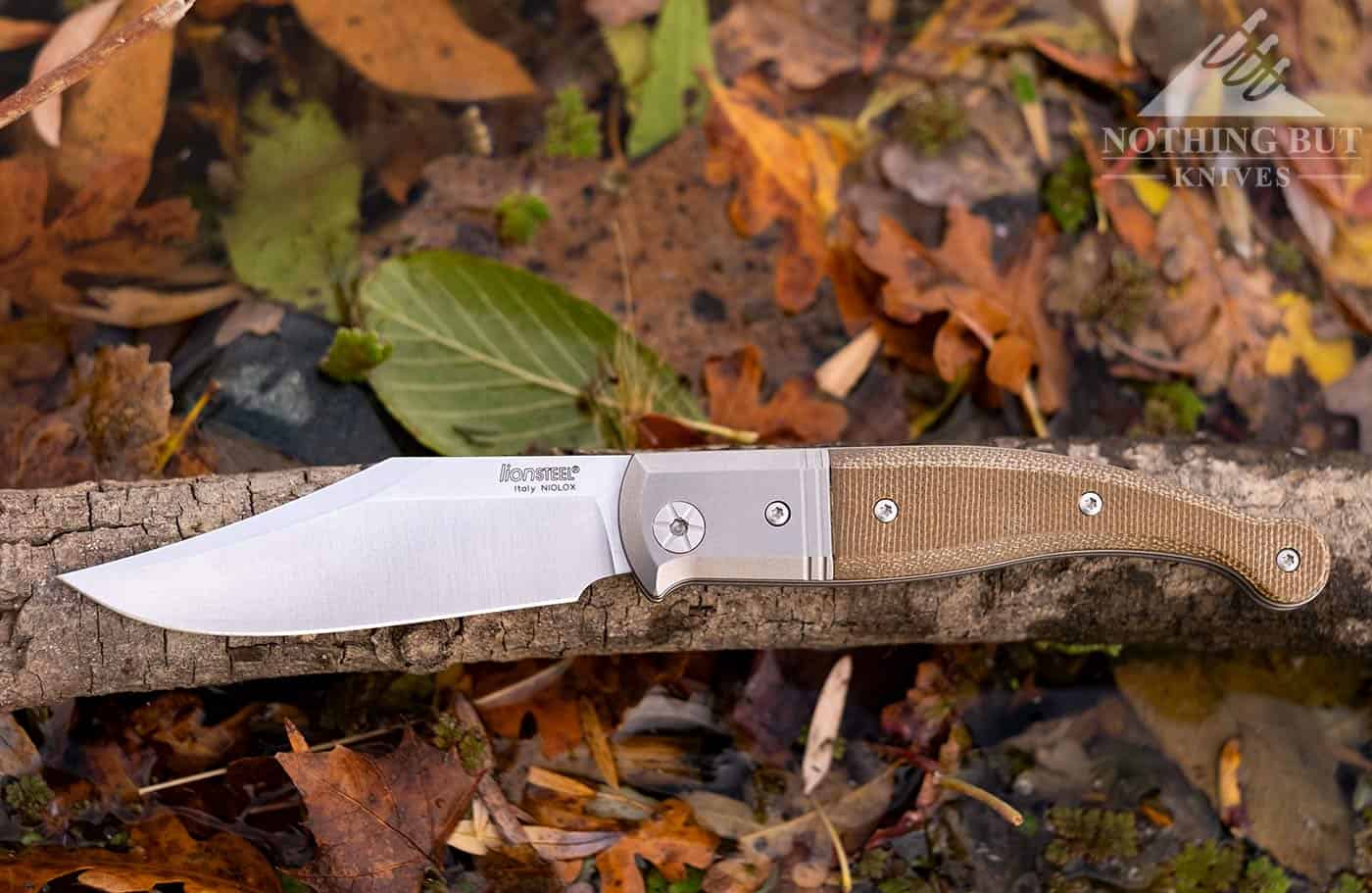 The LionSteel Gitano Slip Joint Knife in the opened position with a background of Fall leaves. Header image for an in depth review of this knife.
