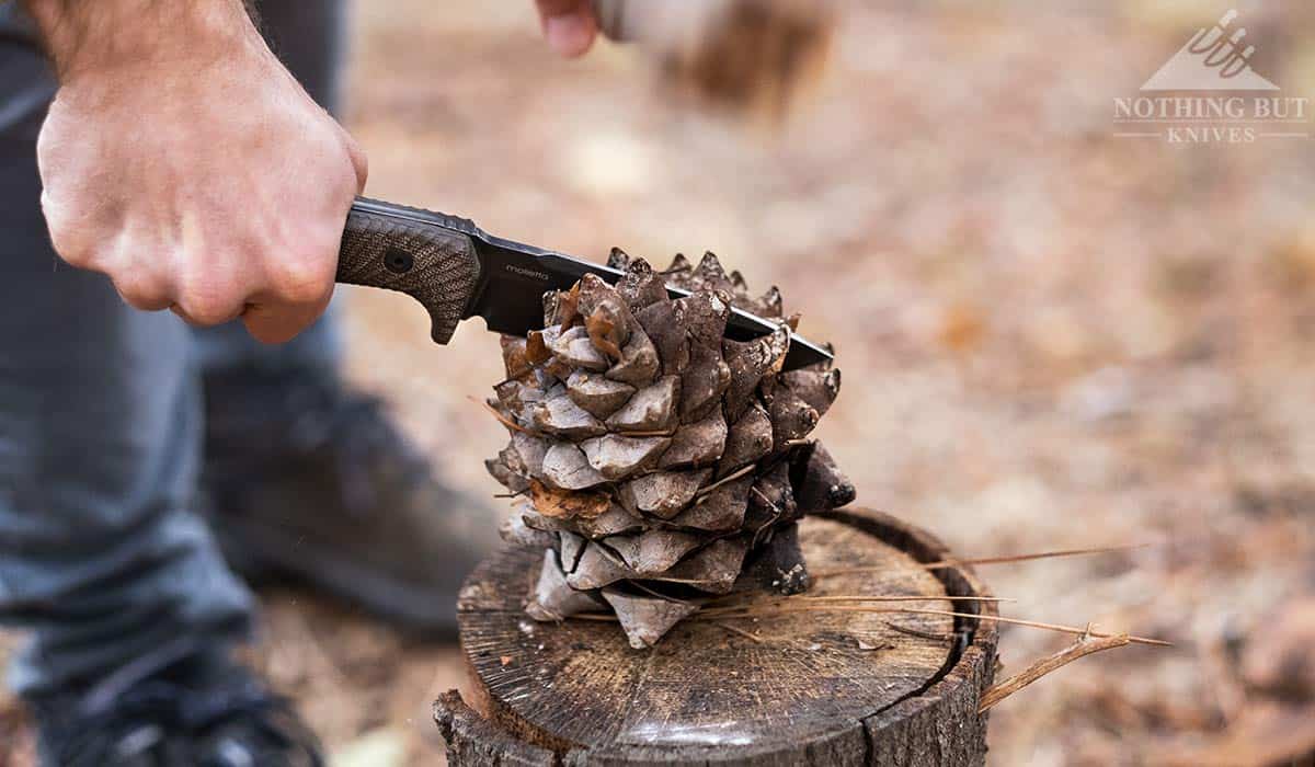 Slicing up a pinecone with the Lion Steel T5 survival knife. 
