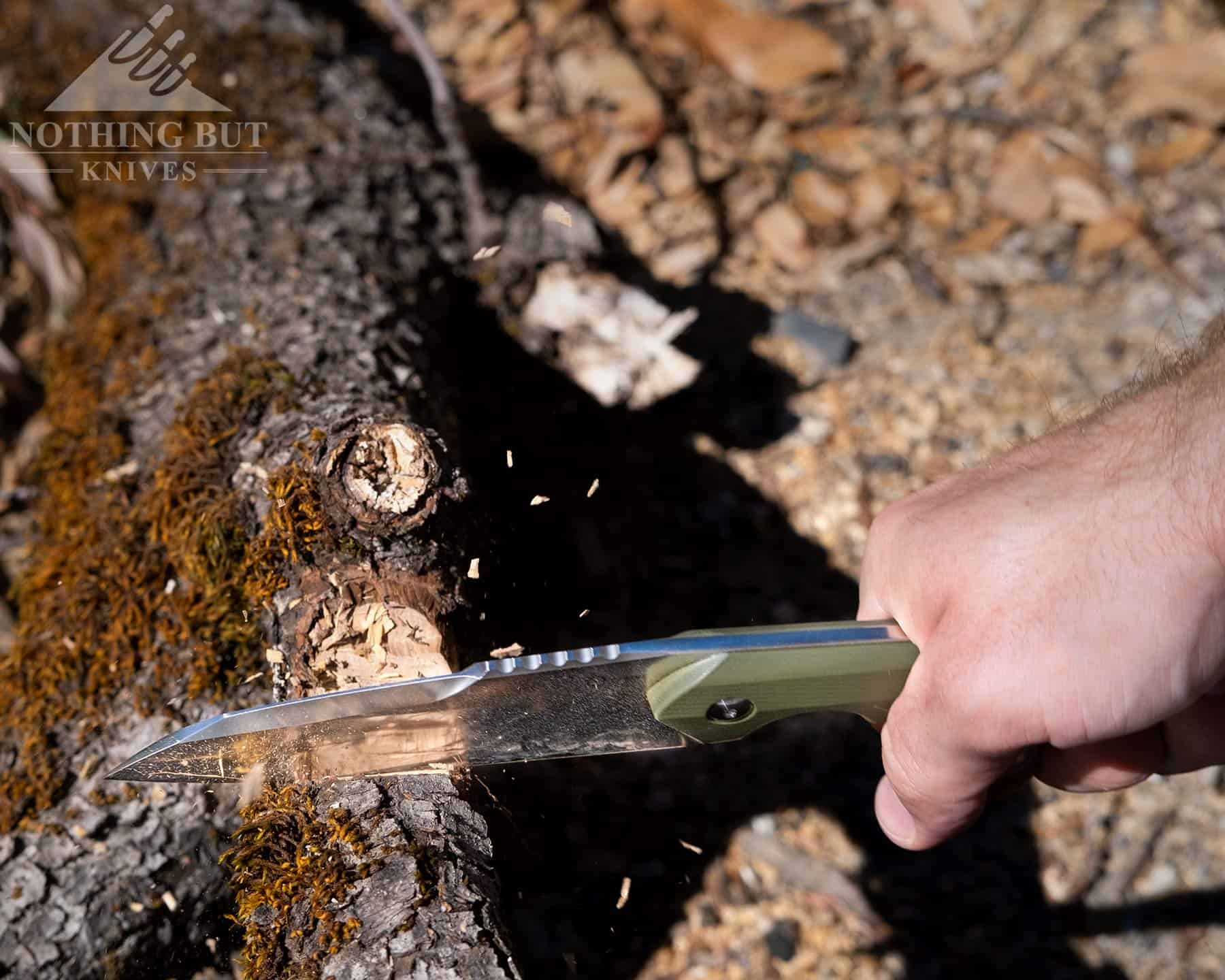 A close-up of a the Civivi Kepler fixed blade knife chopping an oak branch. 