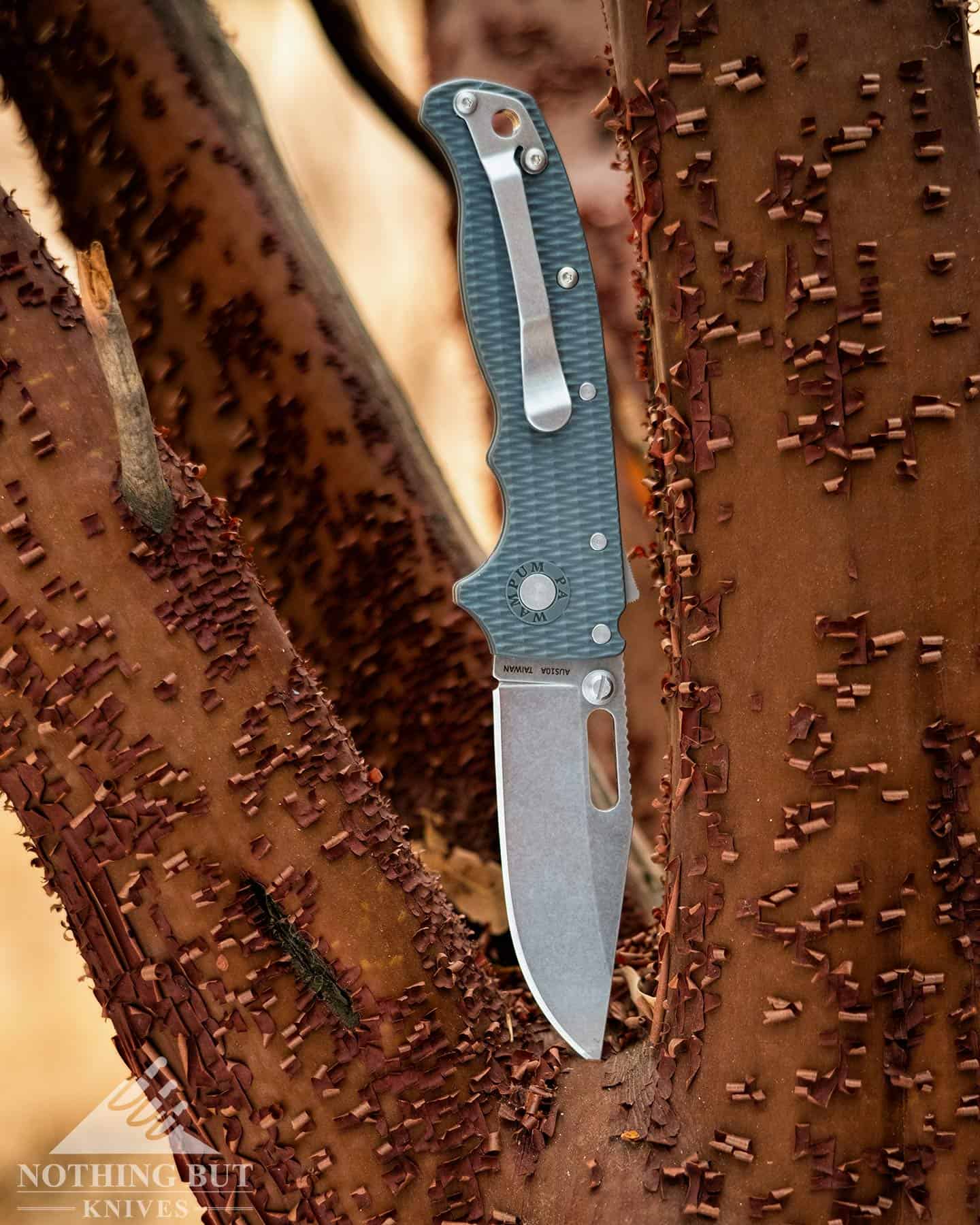 The Demko 20.5 with a grey FRN handle sticking out of a Manzanita tree.