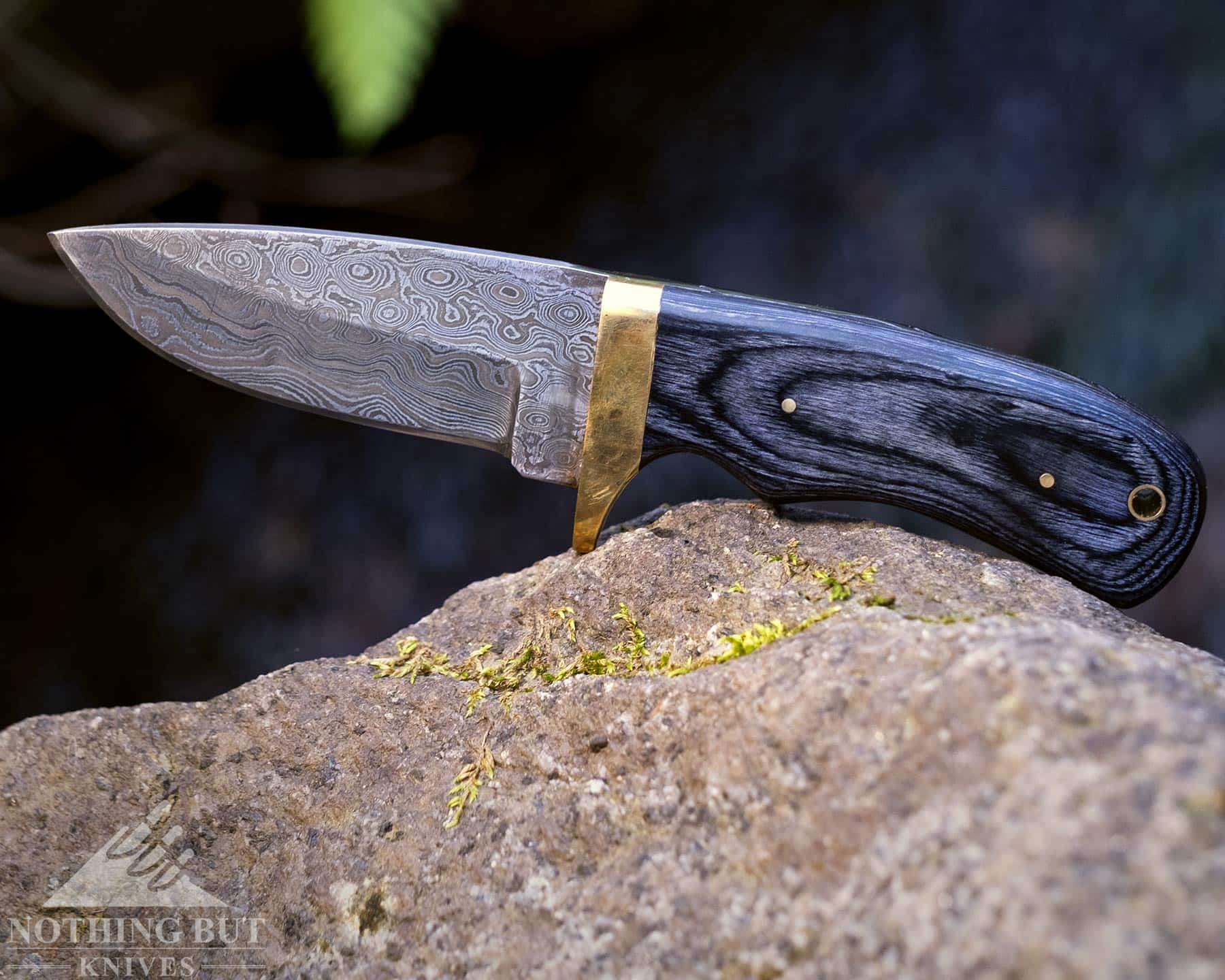 The Jim Baker fixed blade knife on a rock next to a creek outdoors. 