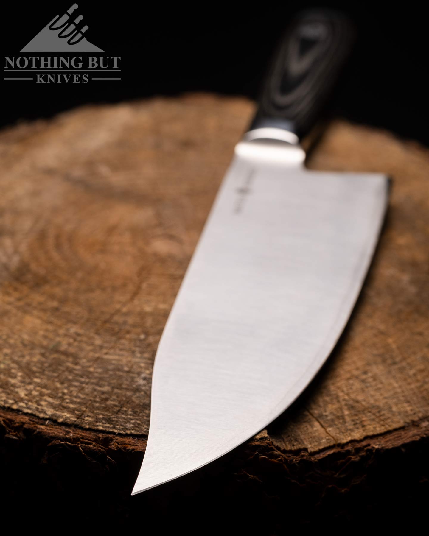 A shallow depth of field image showing the clip point tip of the Borrani Bowie chef knife. 