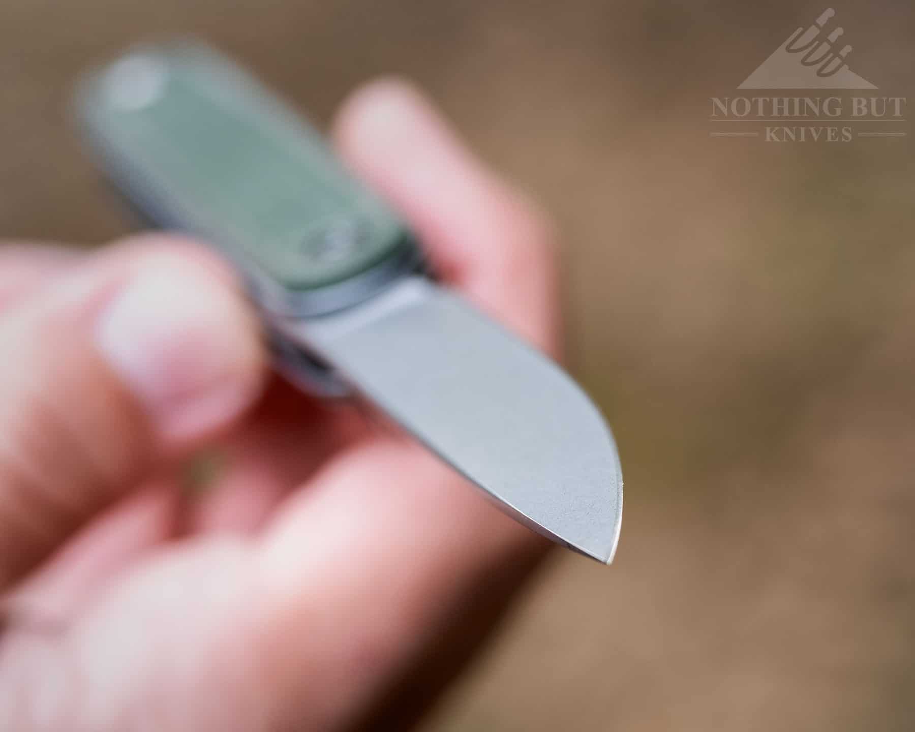 Civivi Crit Knife Review - Image 4 A shallow depth of field image showing the Crit's blade tip.