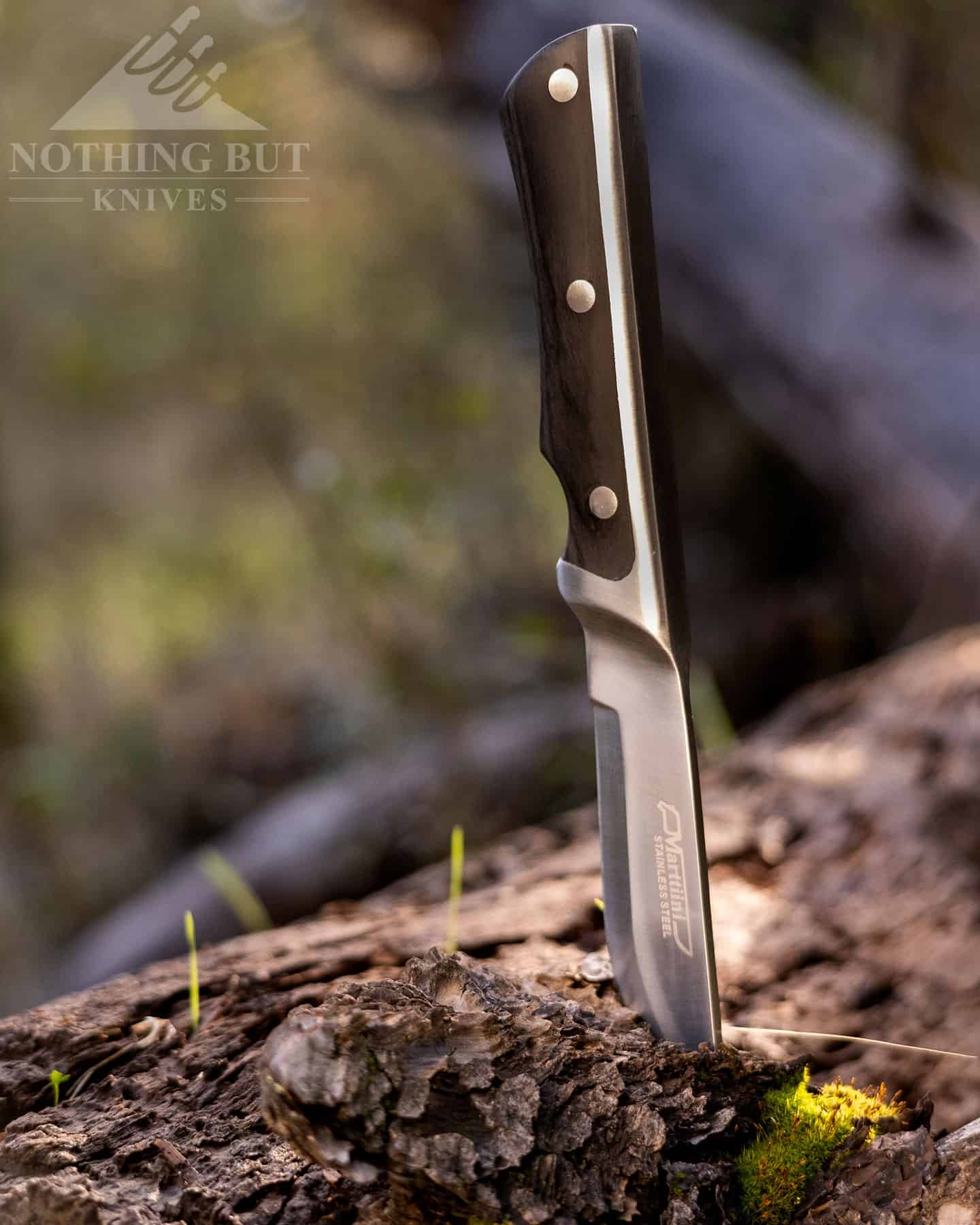 Shallow depth of field image of the Marttiini Full Tang knife sticking out of a log.