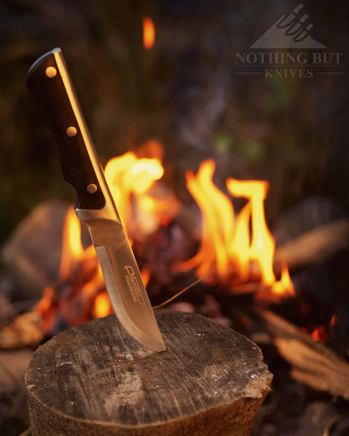 The Marttiini Full Tang Survival hunting knife hybrid sticking out of a stump by a campfire. 