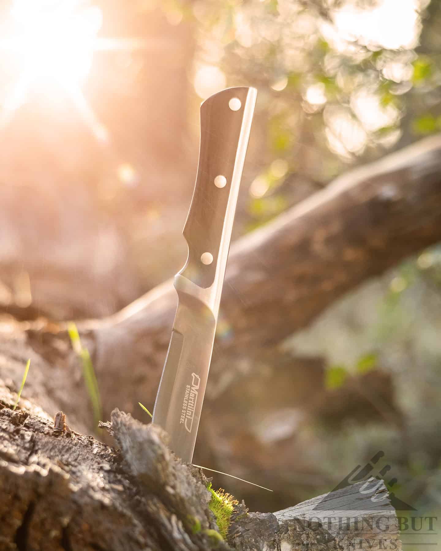 A backlit shot of the Maerttiini Full Tang with the sun setting behind it. 