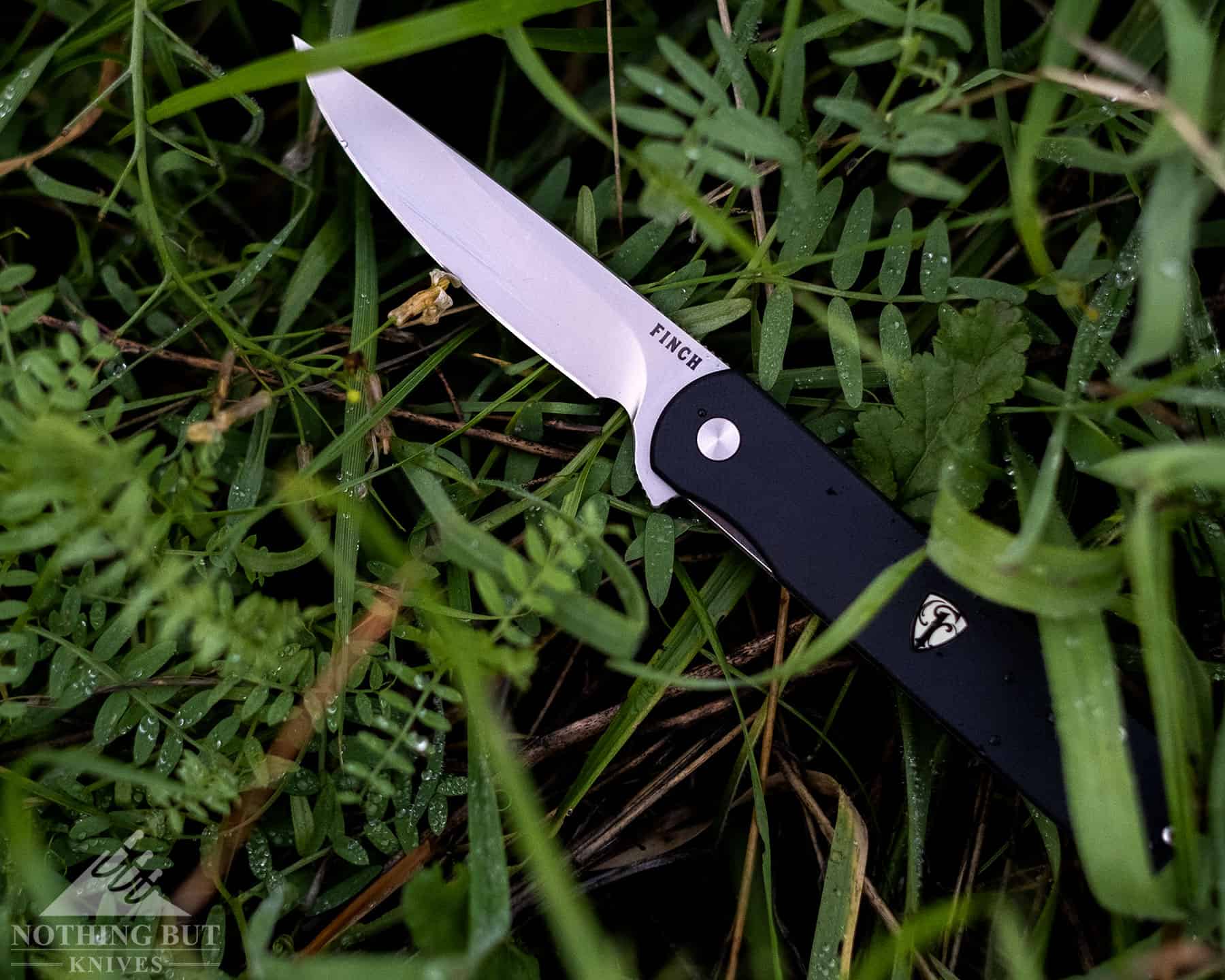 Finch Knife Co Cimarron Review - Image 12 The Finch Cimarron in the dew covered grass to show it's corrosion resistance.