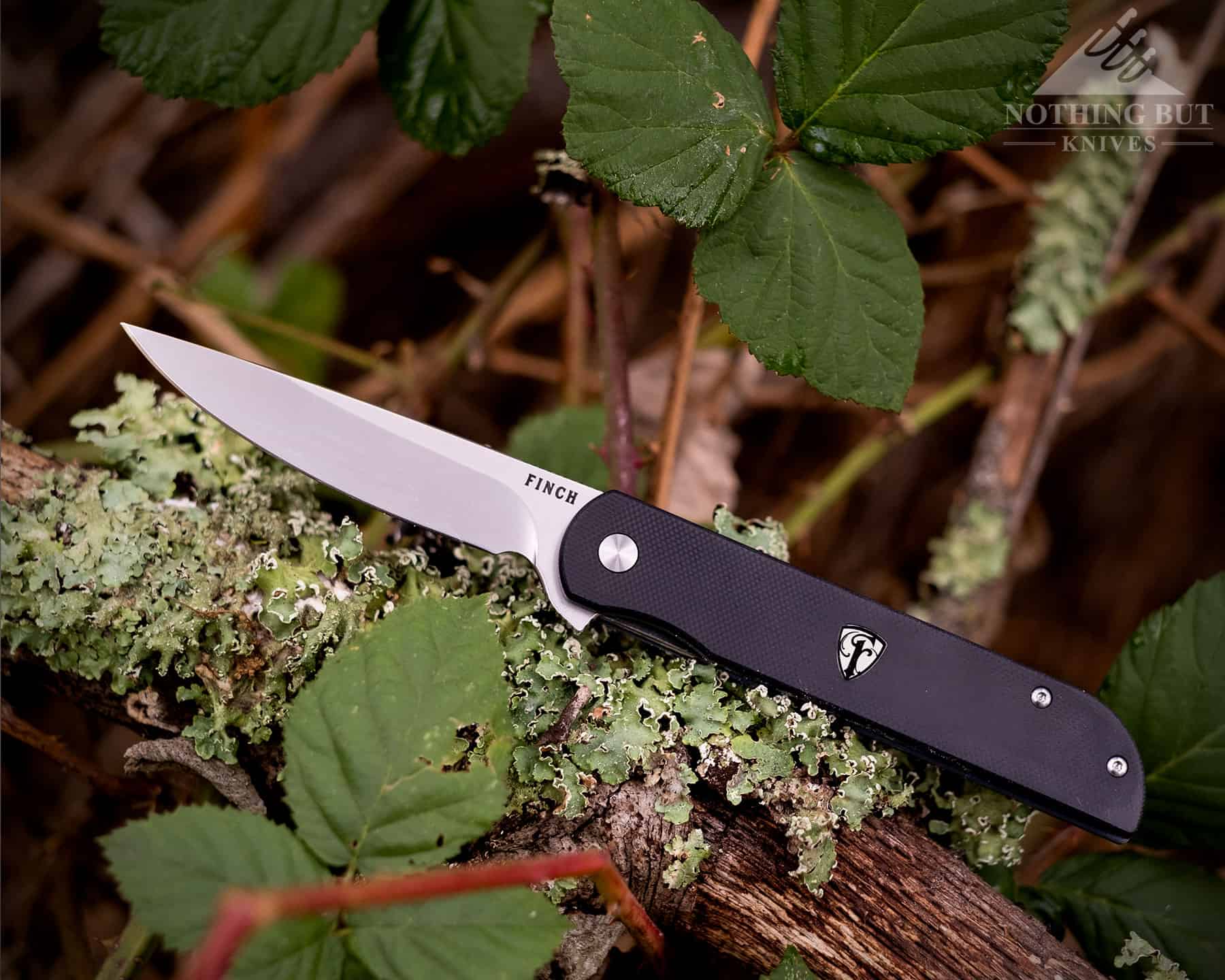 The Finch Cimarron folding knife on a moss covered tree branch to show scale and color. 