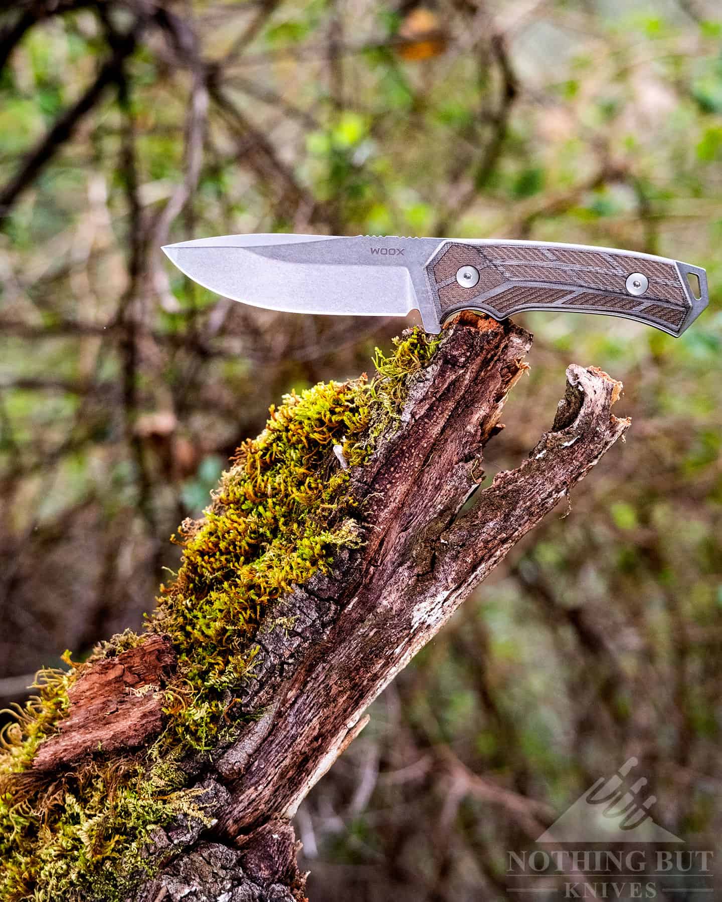 The Woox Rock 62 Survival knife is right at home in the forest.