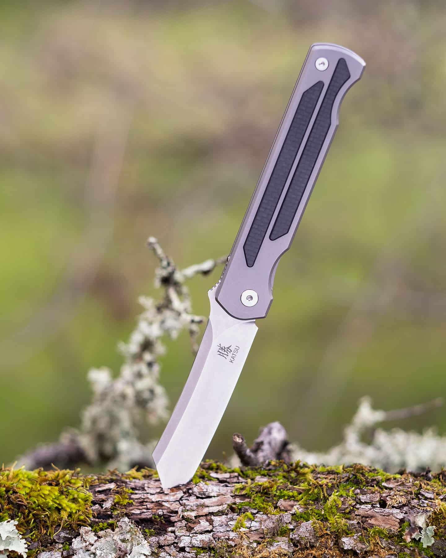Header image for our Katsu JT01 Titanium Camping Knife Review. The knife is shown here sticking out of a tree branch.