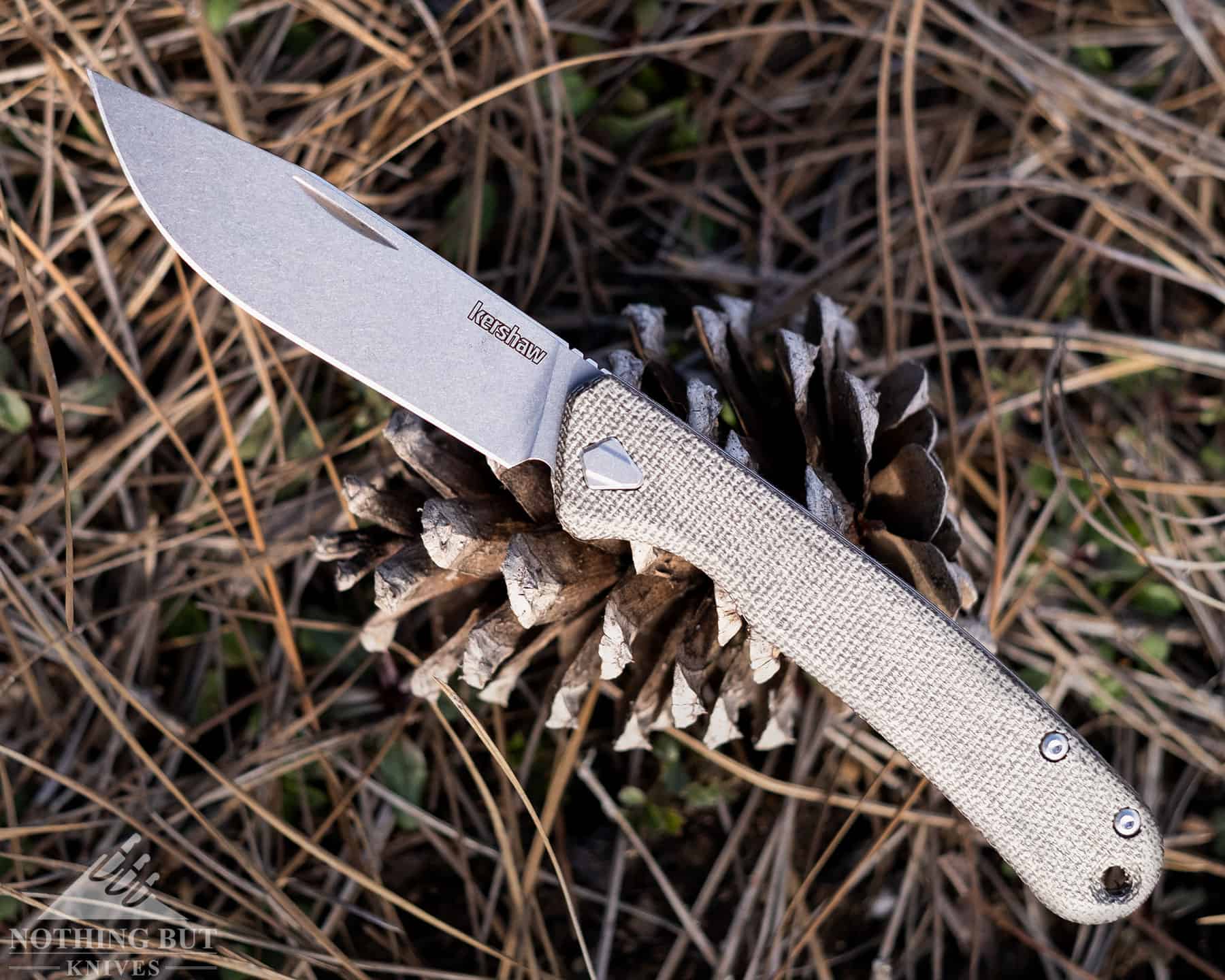 A close-up of the Kershaw Federalist slip joint in the open position sitting on a pine cone. 
