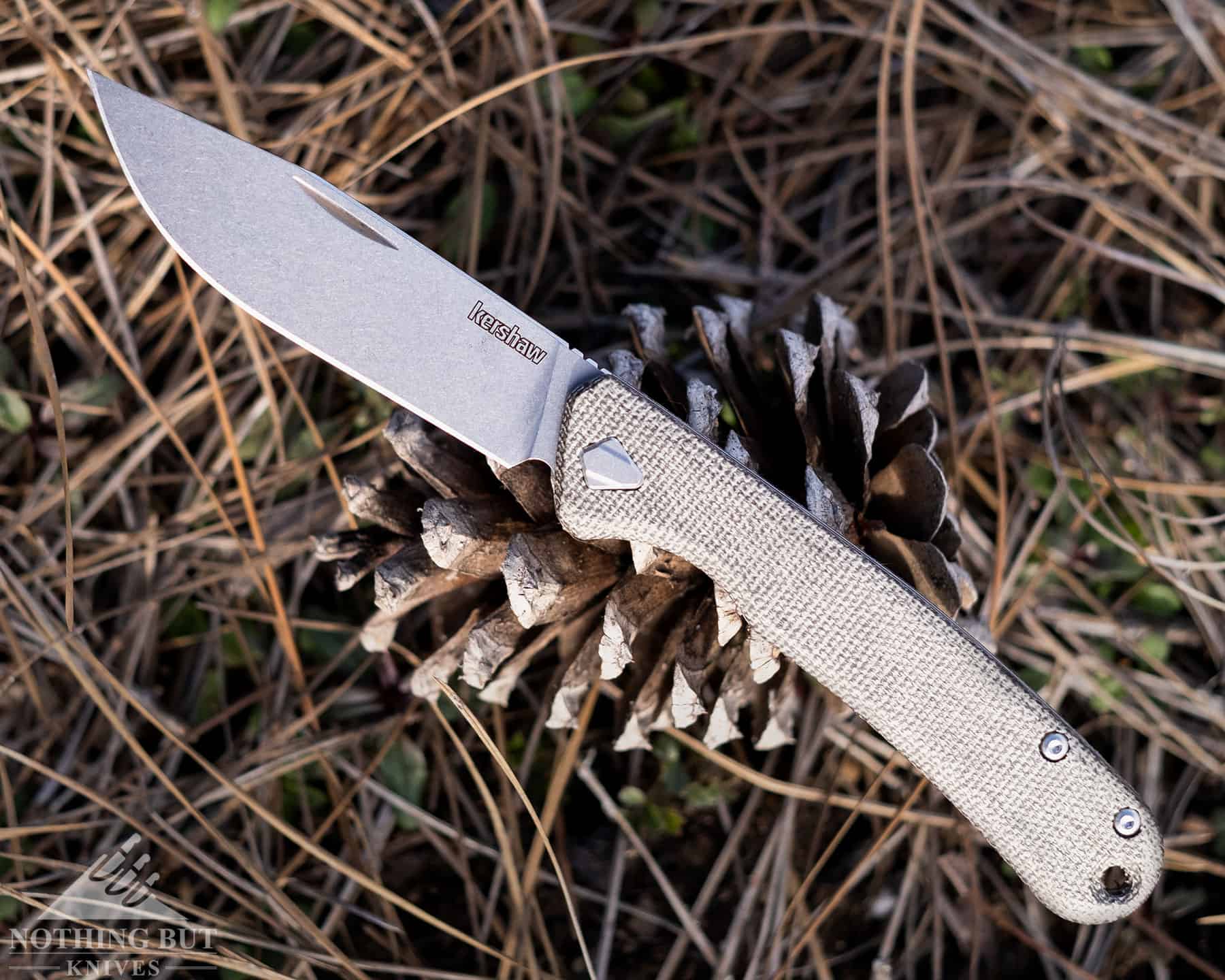 Kershaw Federalist Slip Joint Review - Image 8 A close-up of the Kershaw Federalist slip joint in the open position sitting on a pine cone.