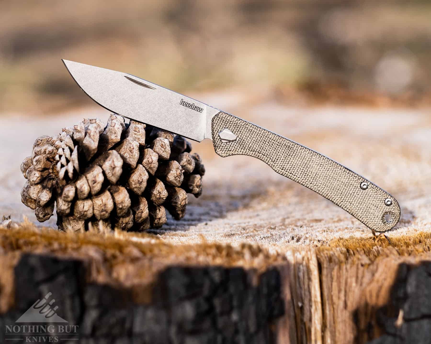 A Kershaw pocket knife in the open position with it's blade on a pine cone. 